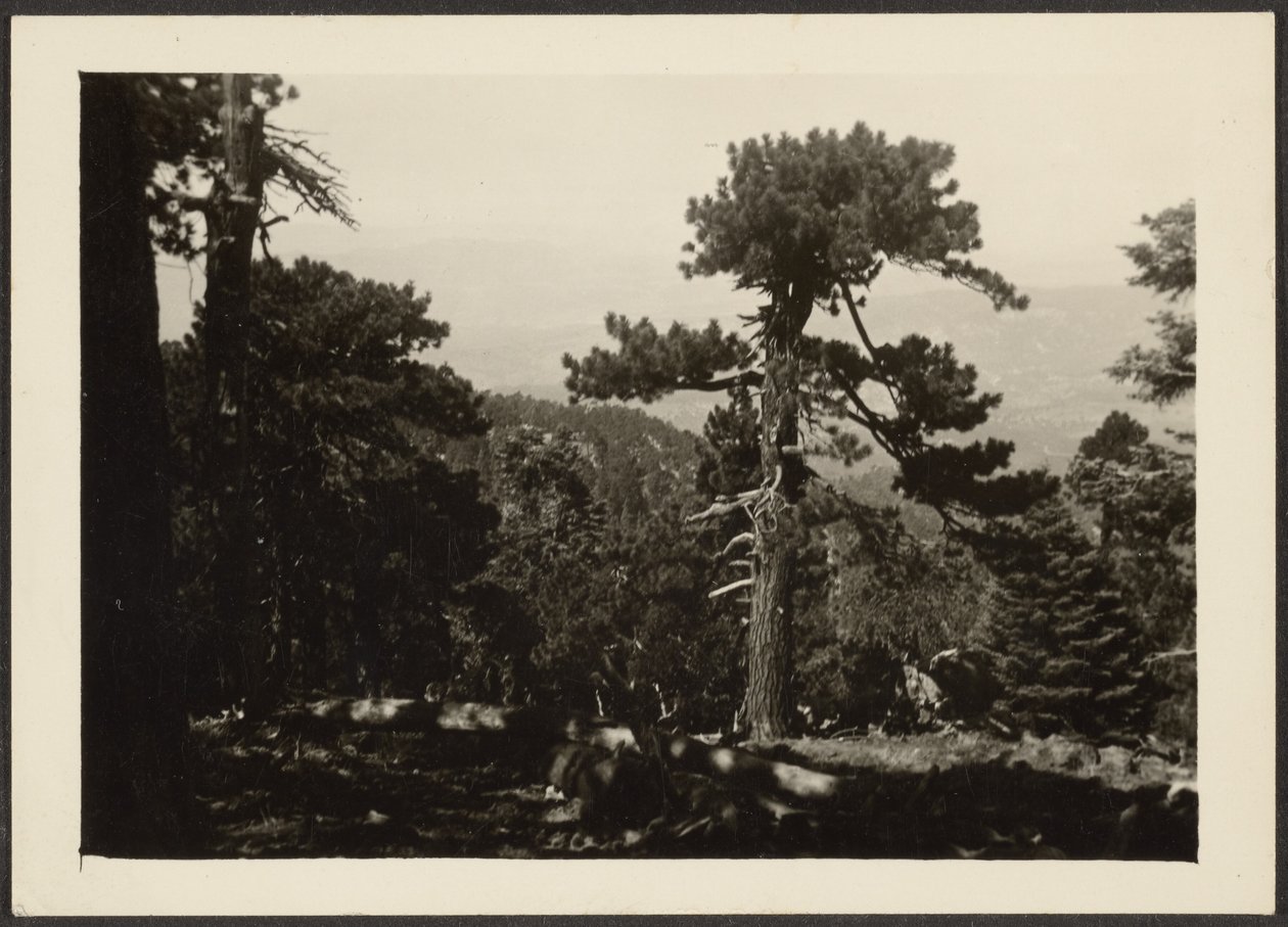 [Paisaje] de Louis Fleckenstein