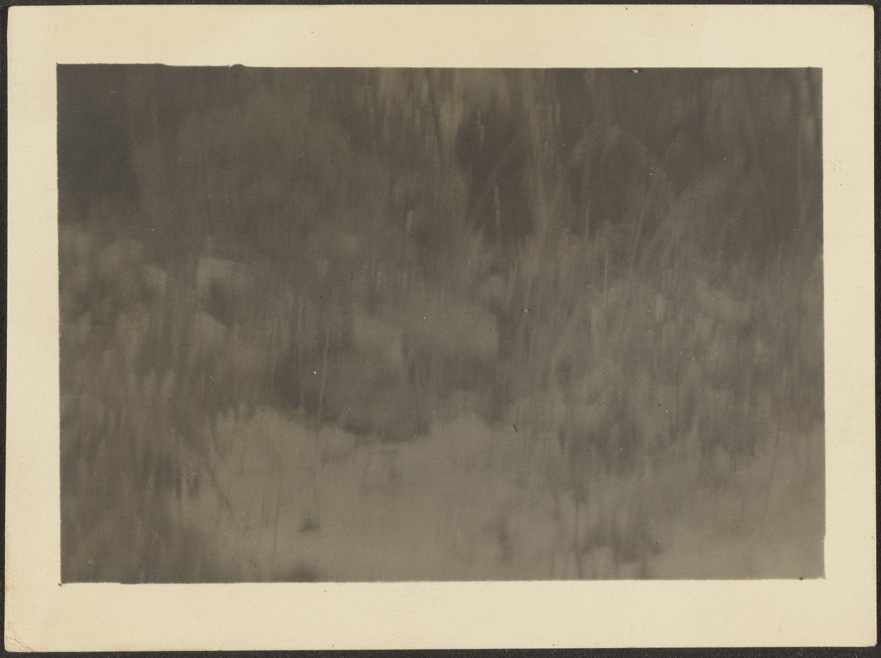 [Paisaje] de Louis Fleckenstein