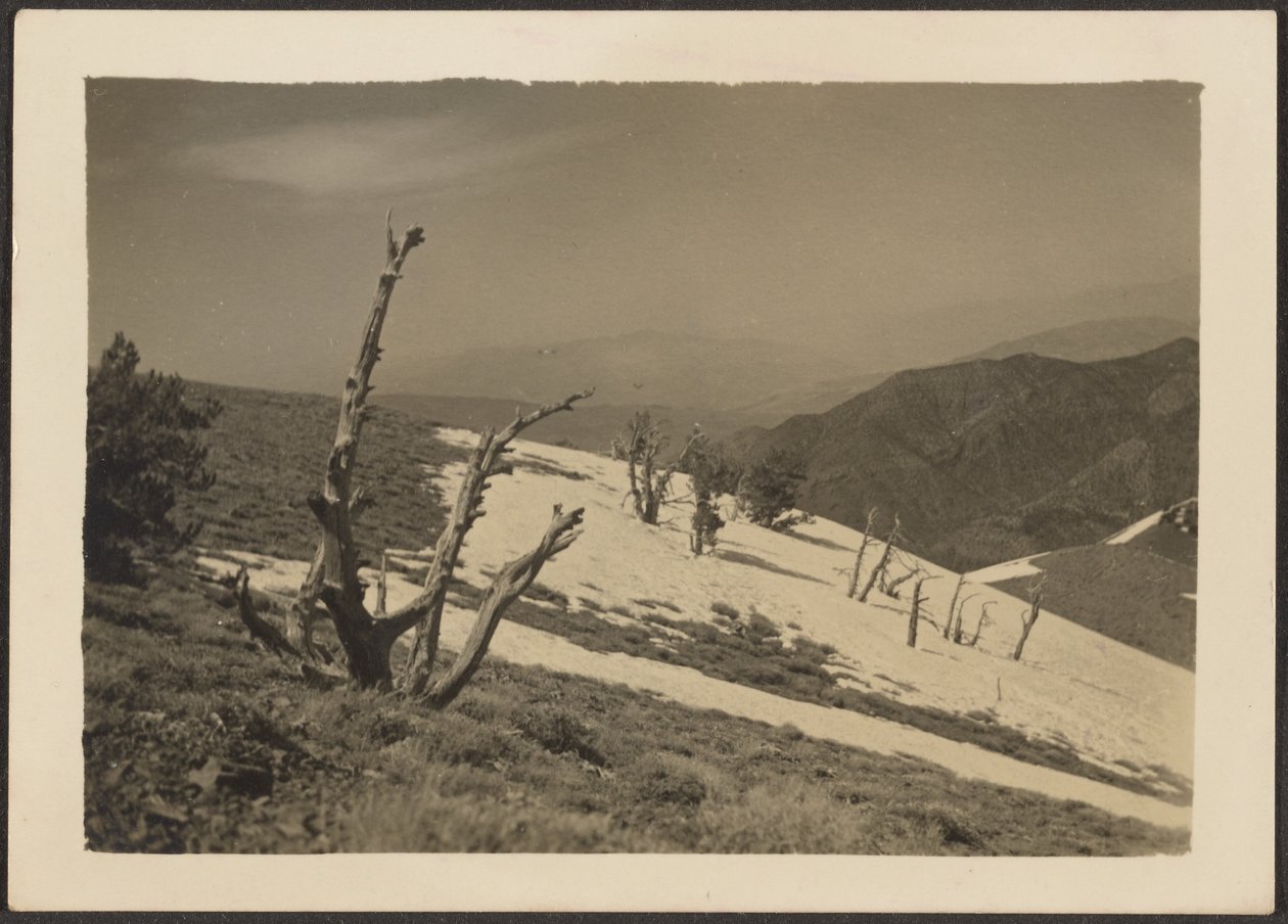 [Paisaje] de Louis Fleckenstein