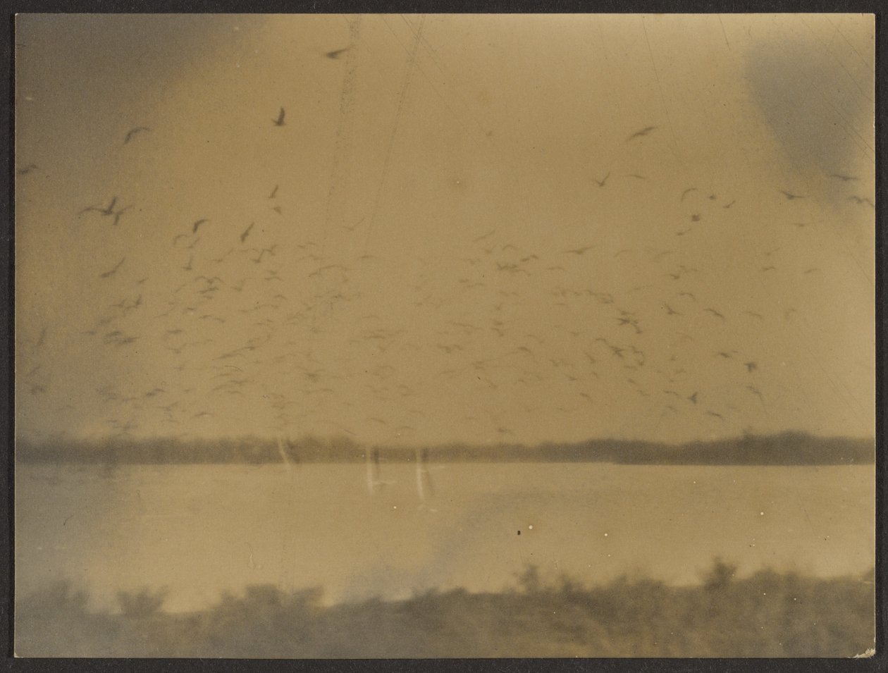 [Paisaje con pájaros] de Louis Fleckenstein