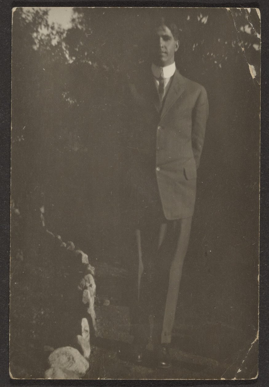 [Hombre en el camino] de Louis Fleckenstein