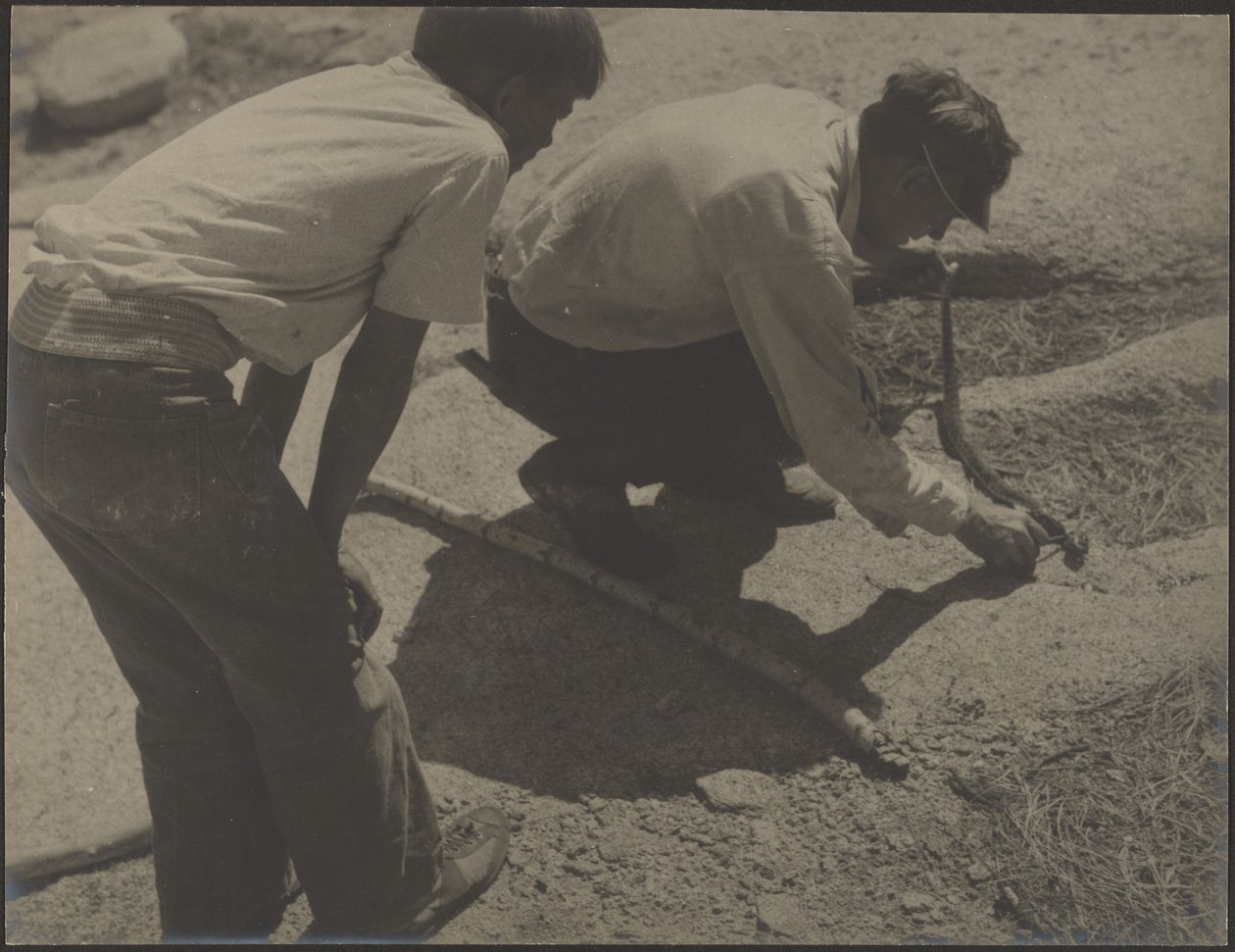 [Hombres con Cascabel] de Louis Fleckenstein