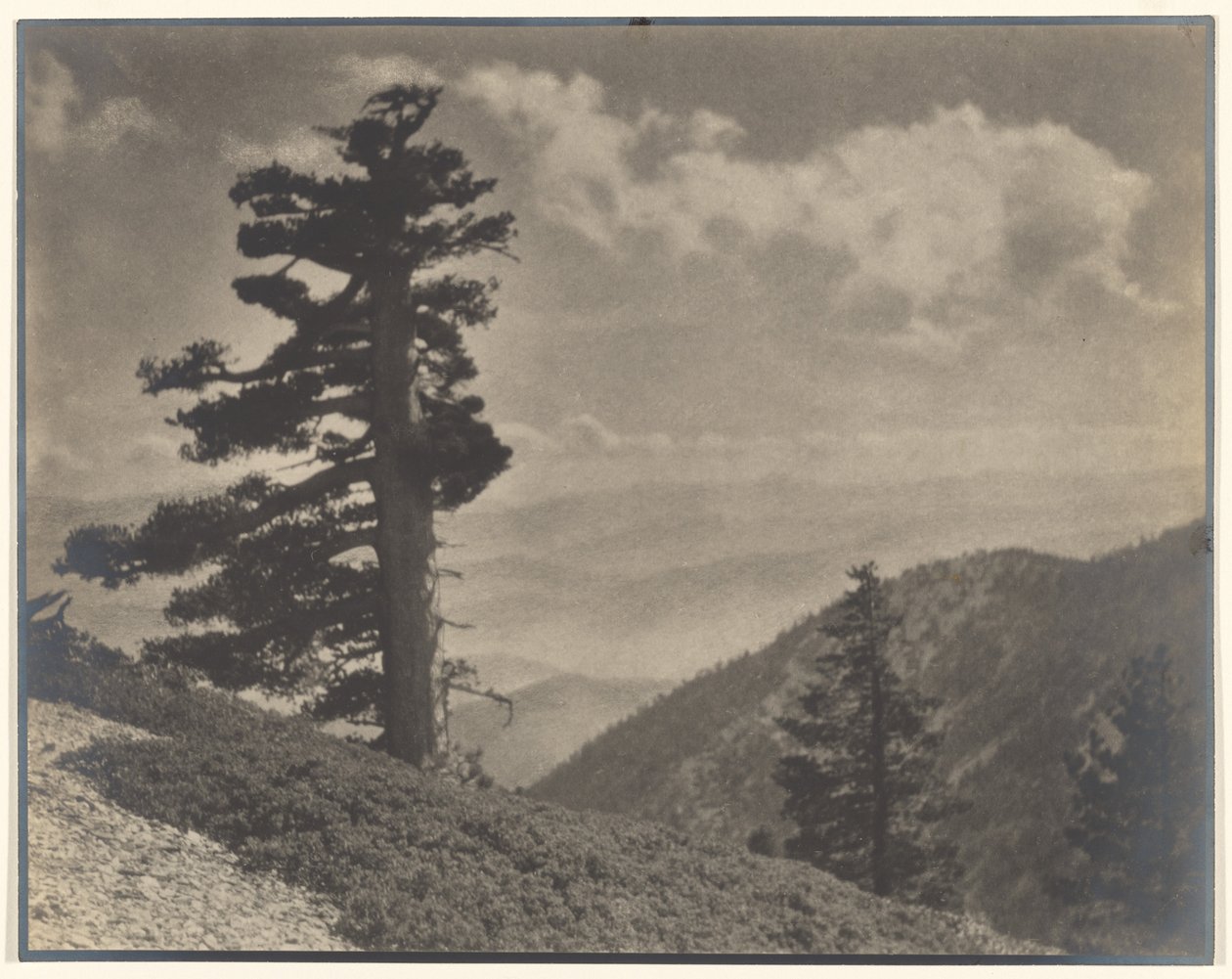 [En Ridge a Old Baldy] de Louis Fleckenstein