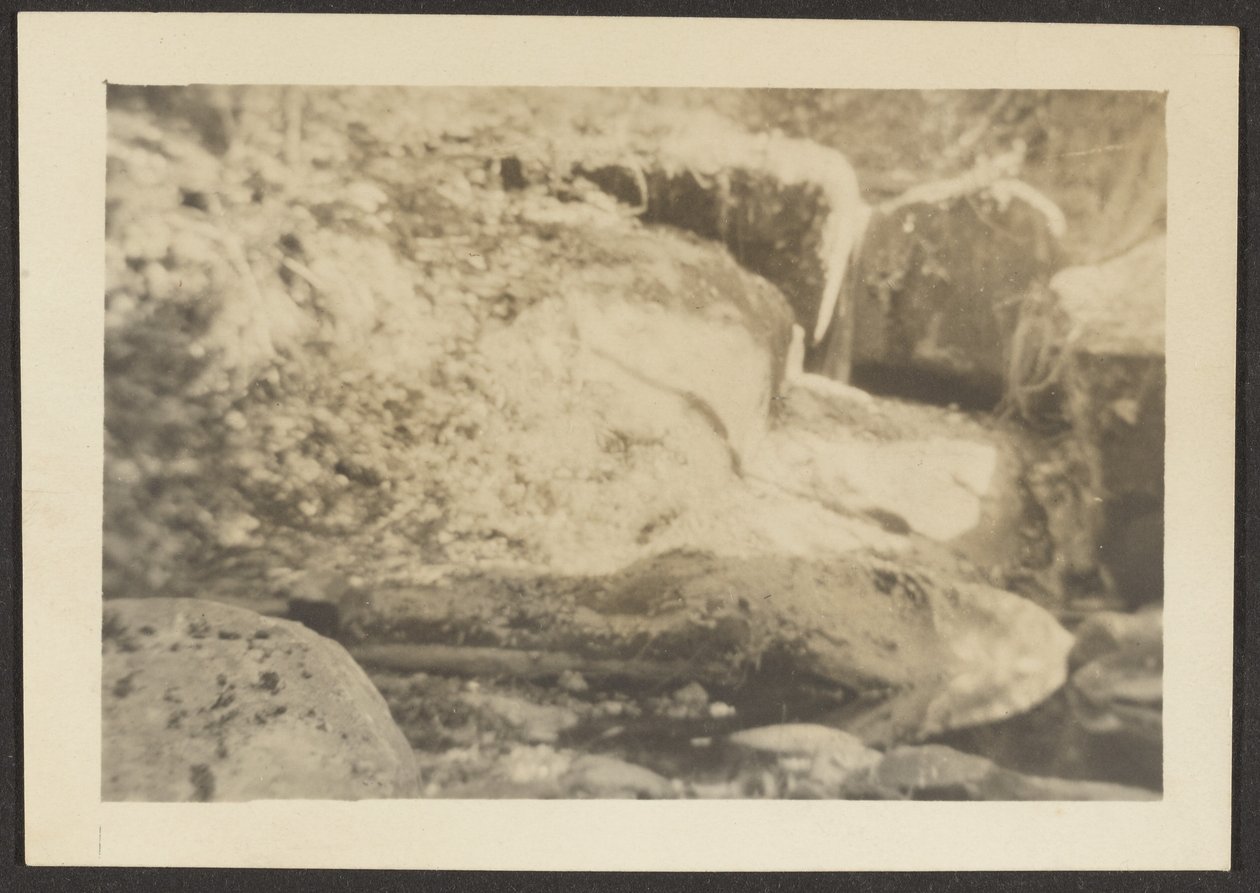[Paisaje rocoso] de Louis Fleckenstein
