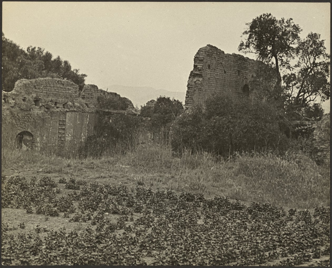 Ruinas de la Misión Purísima Concepción de Louis Fleckenstein