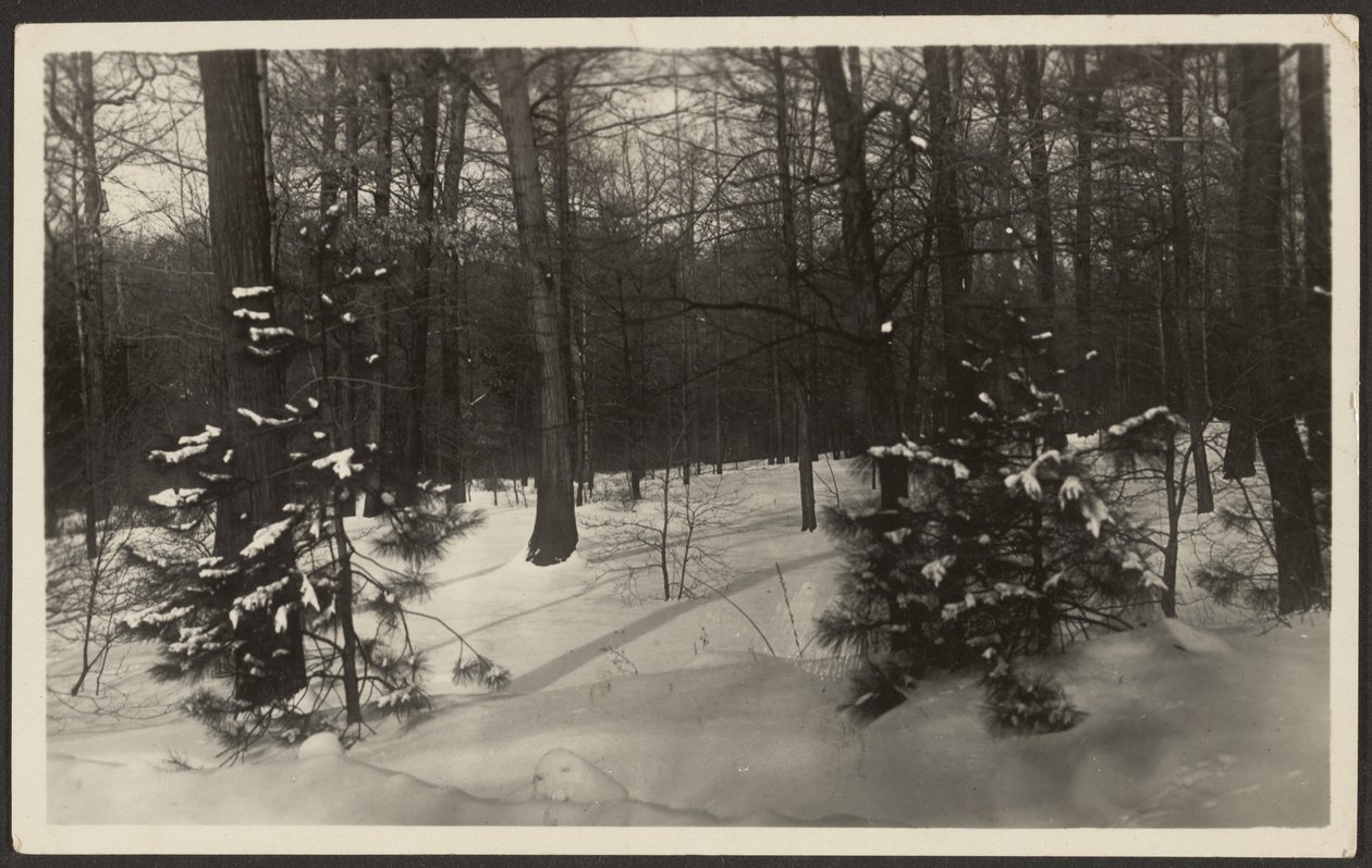 [Paisaje nevado] de Louis Fleckenstein