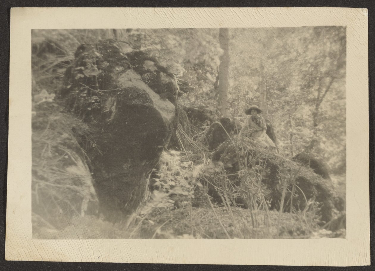 [Mujer sobre rocas en el bosque] de Louis Fleckenstein