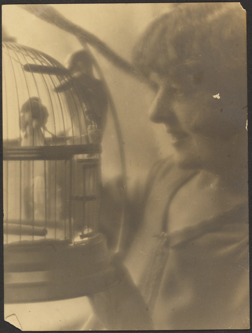 [Mujer con jaula de pájaros] de Louis Fleckenstein
