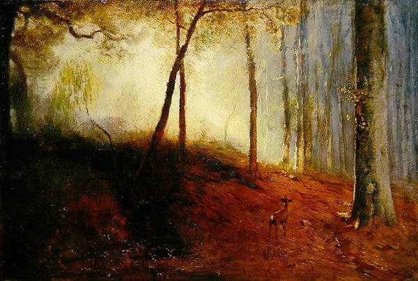 Ciervo en un bosque de Louis Kolitz