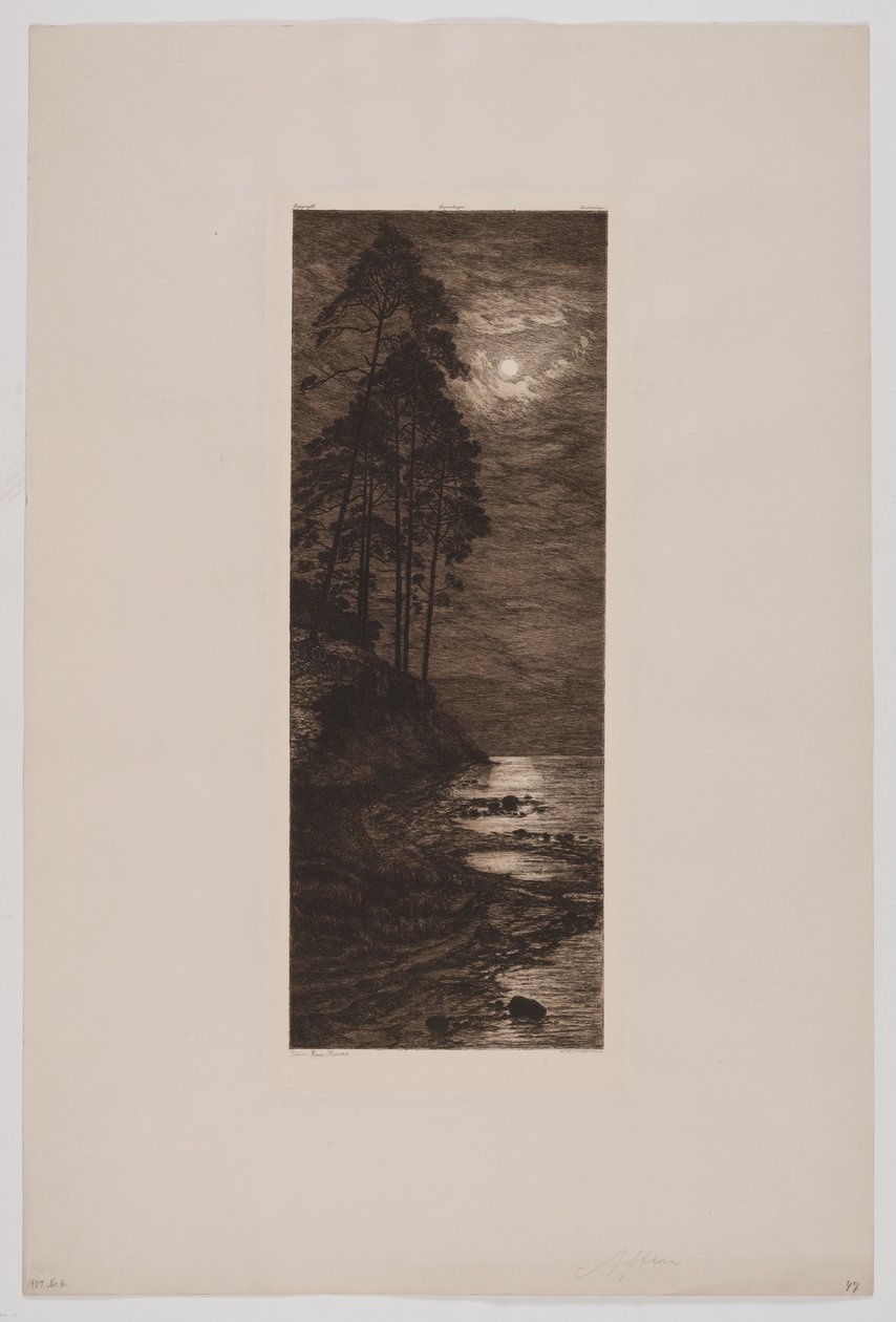 Tarde de Louise Ravn Hansen