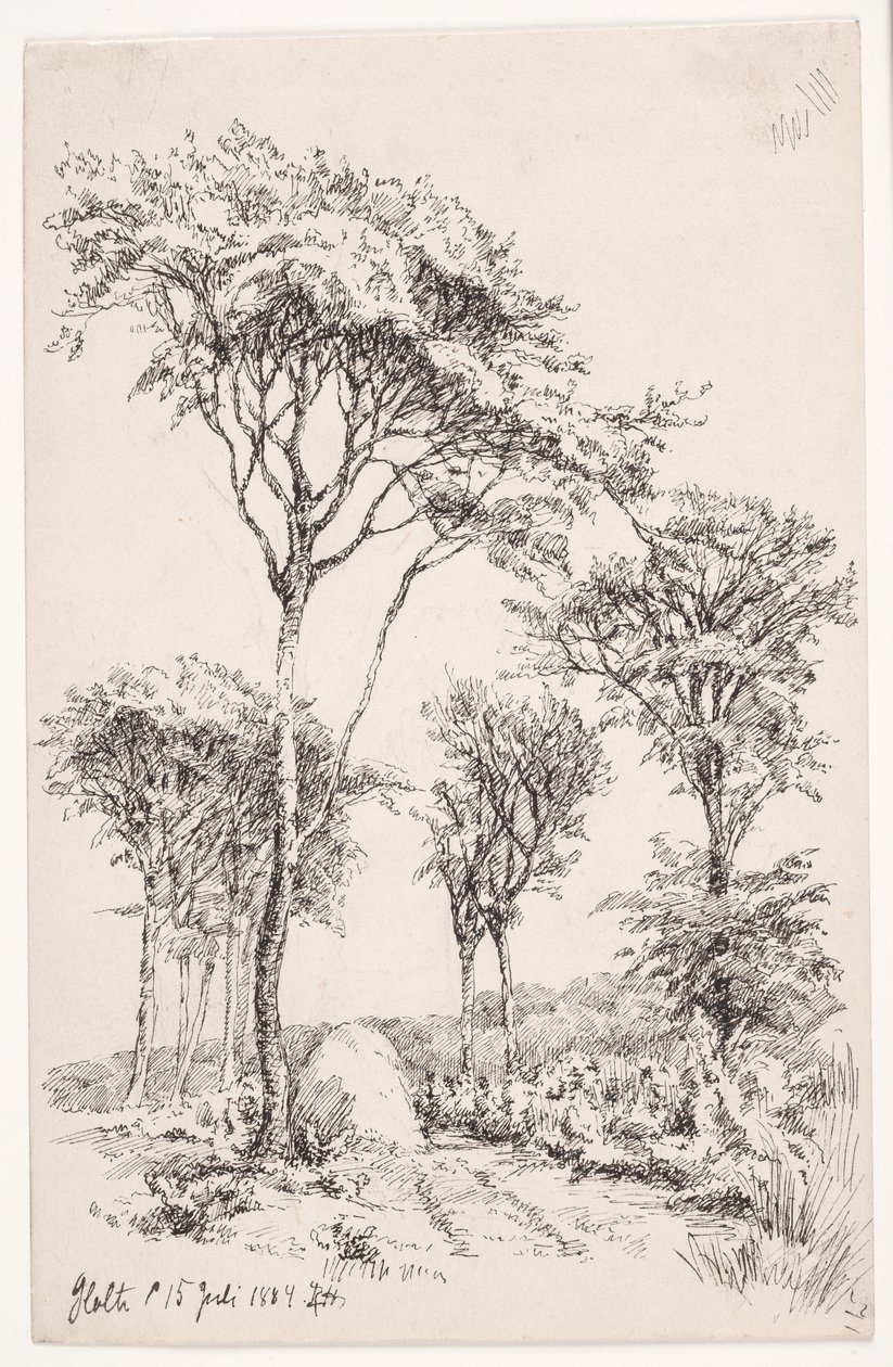 Paisaje forestal con árboles aislados de Louise Ravn Hansen