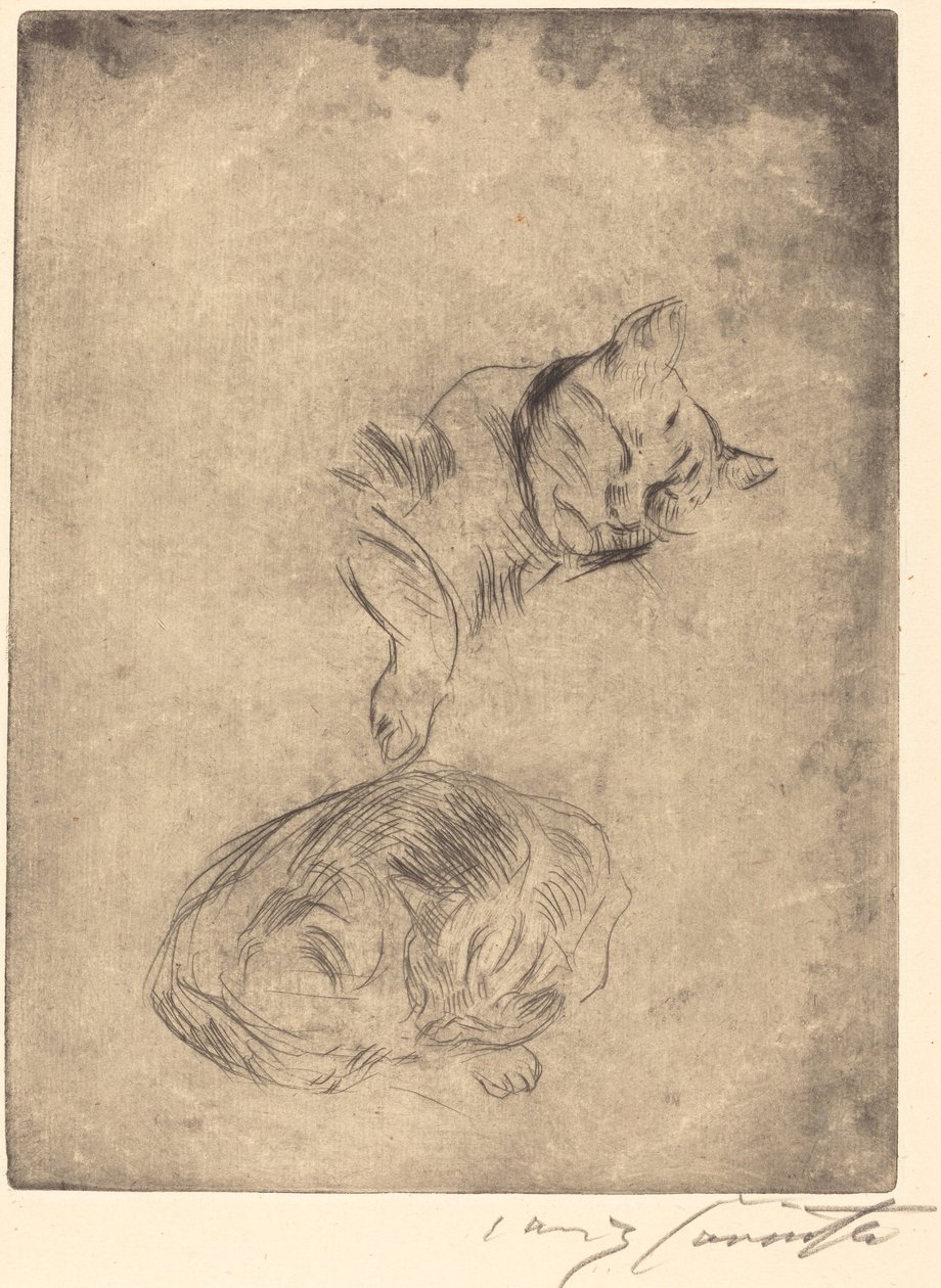 Estudio de Gatos de Lovis Corinth