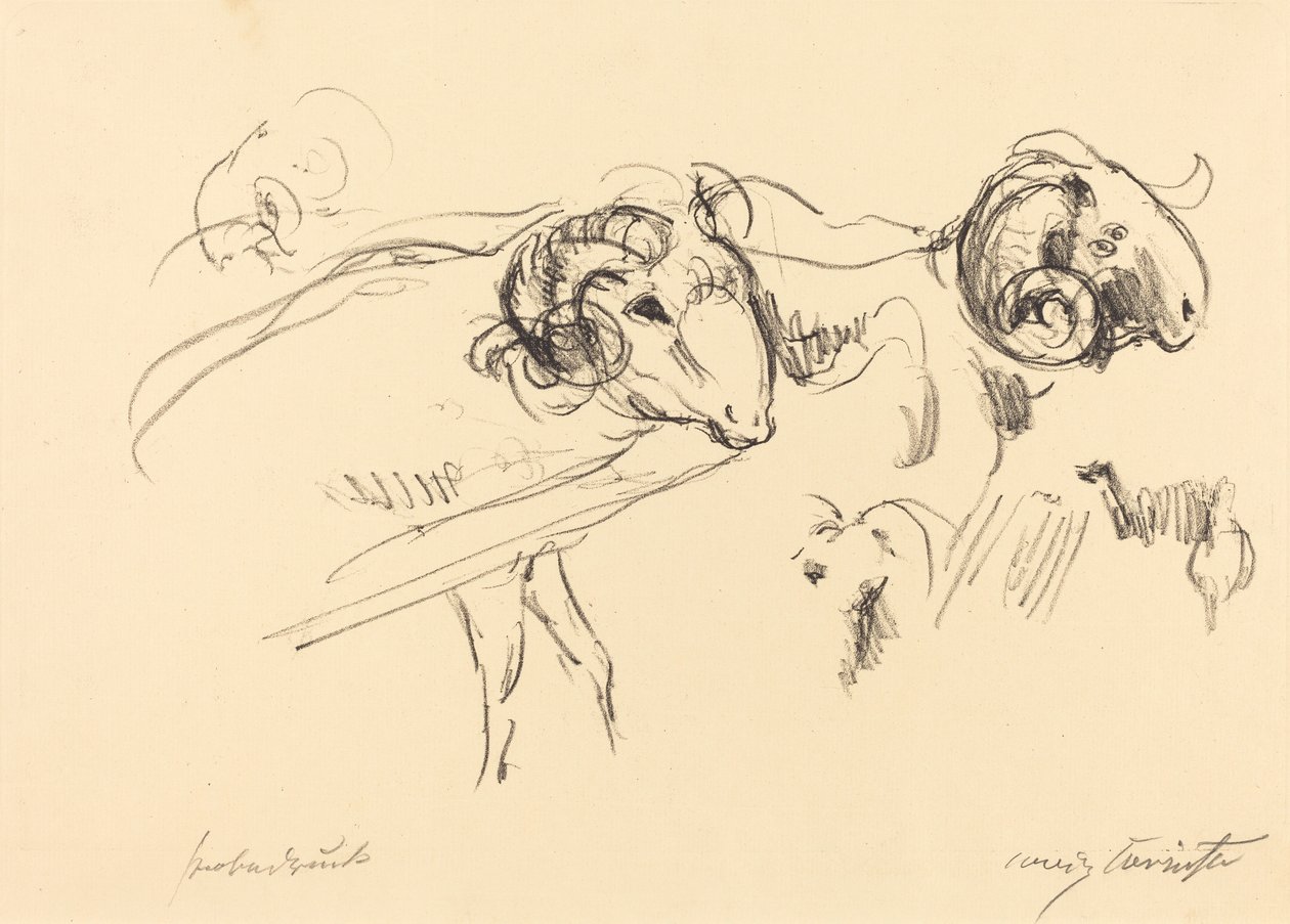 Carneros de Lovis Corinth