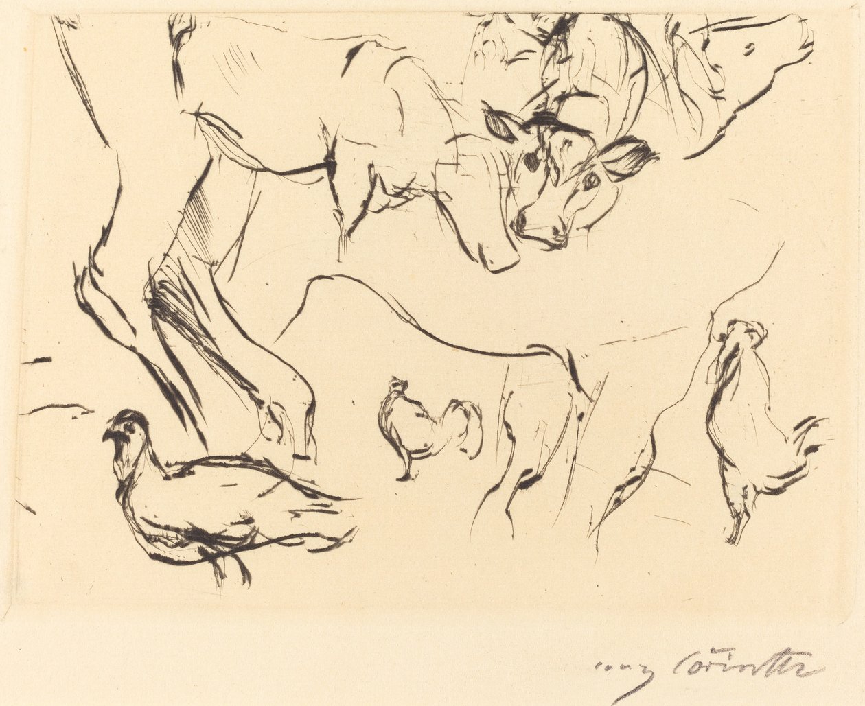 Estudios de animales de Lovis Corinth