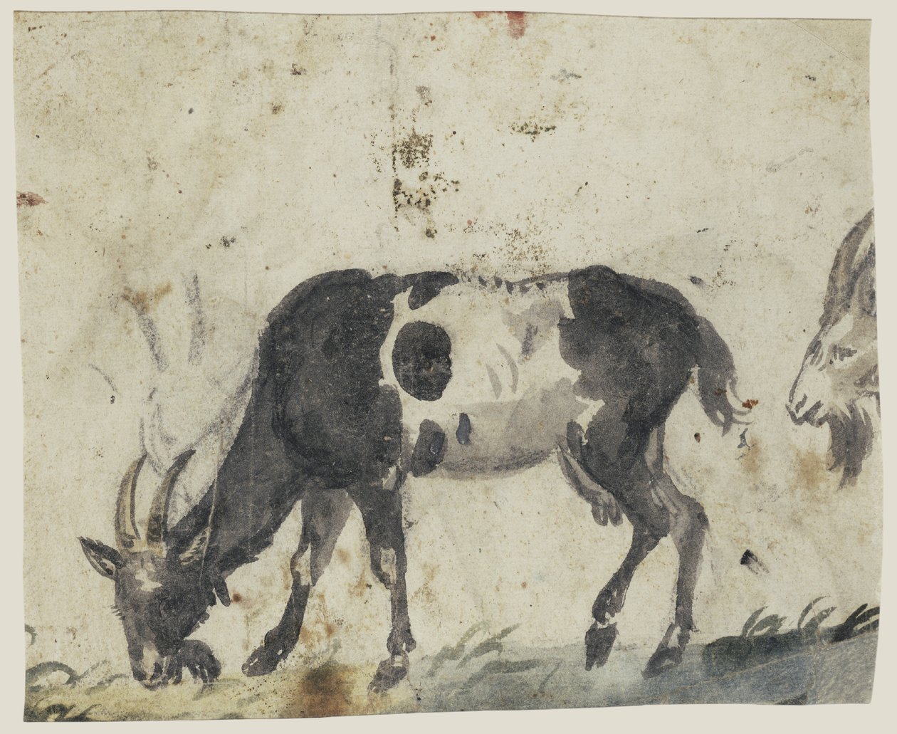Estudio con Cabras de Lucas Cranach the Elder