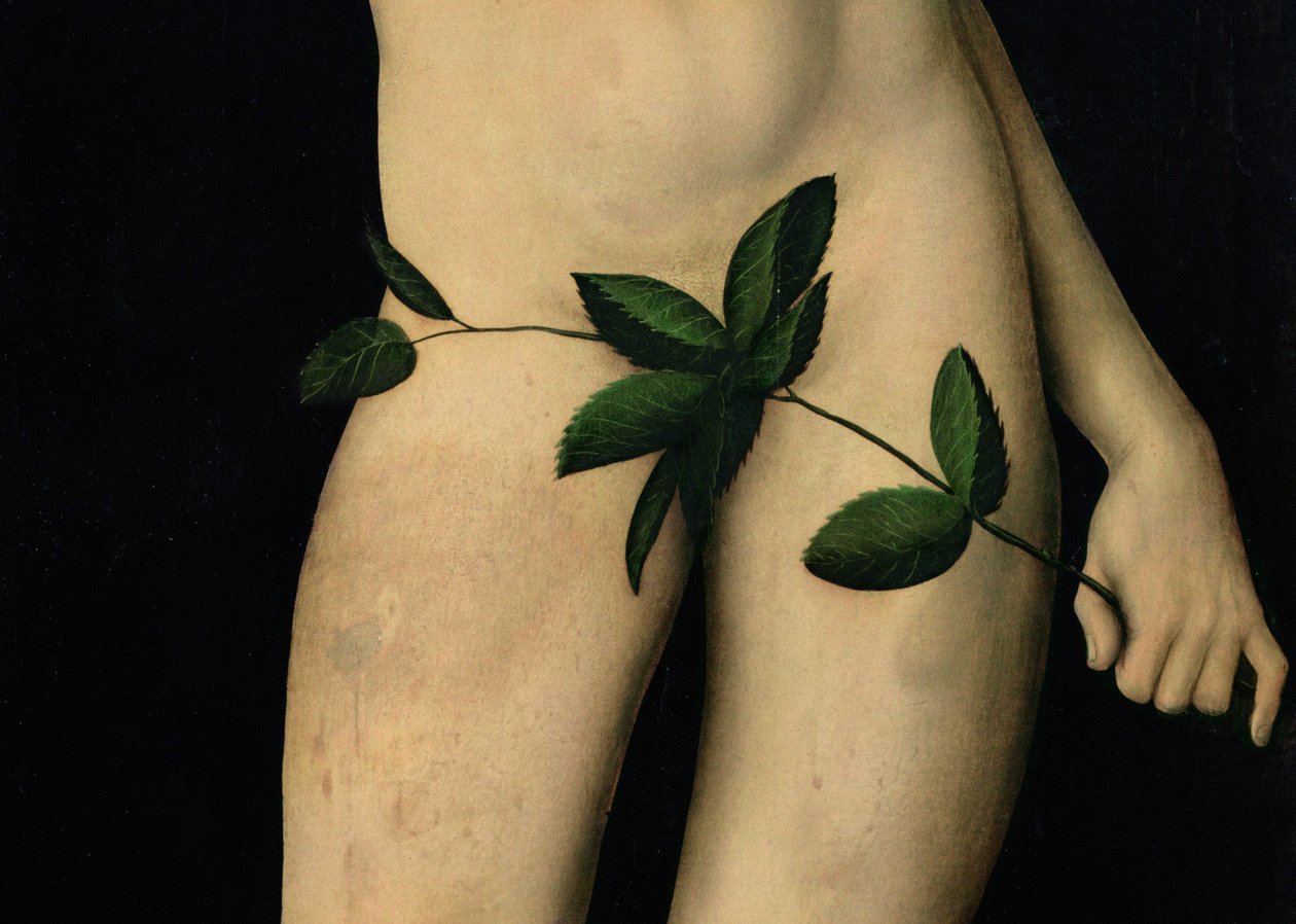 Adán de Lucas Cranach the Elder