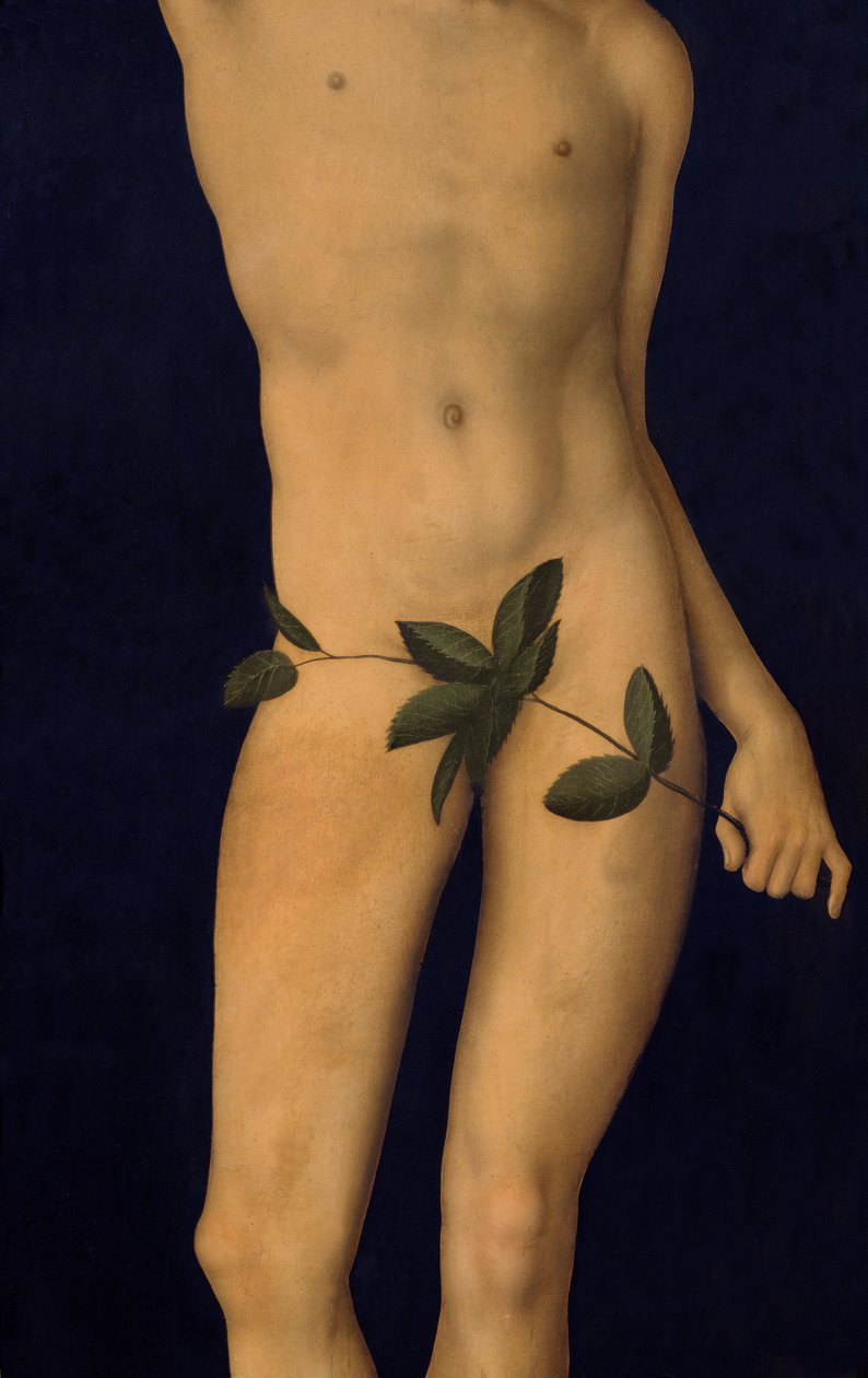 Adán de Lucas Cranach the Elder