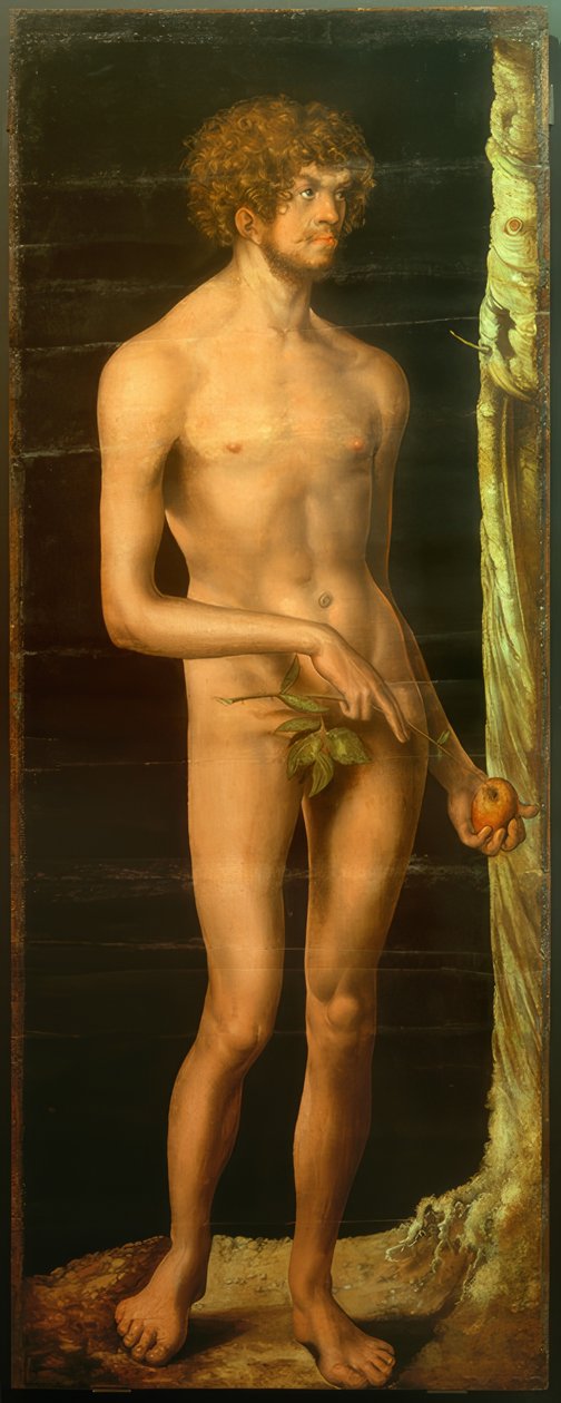 Adán de Lucas Cranach the Elder