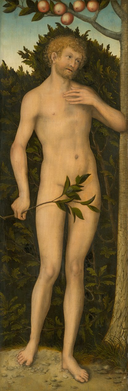 Adam, 153337 de Lucas Cranach the Elder
