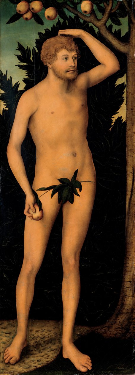 Adán, después de 1537 de Lucas Cranach the Elder