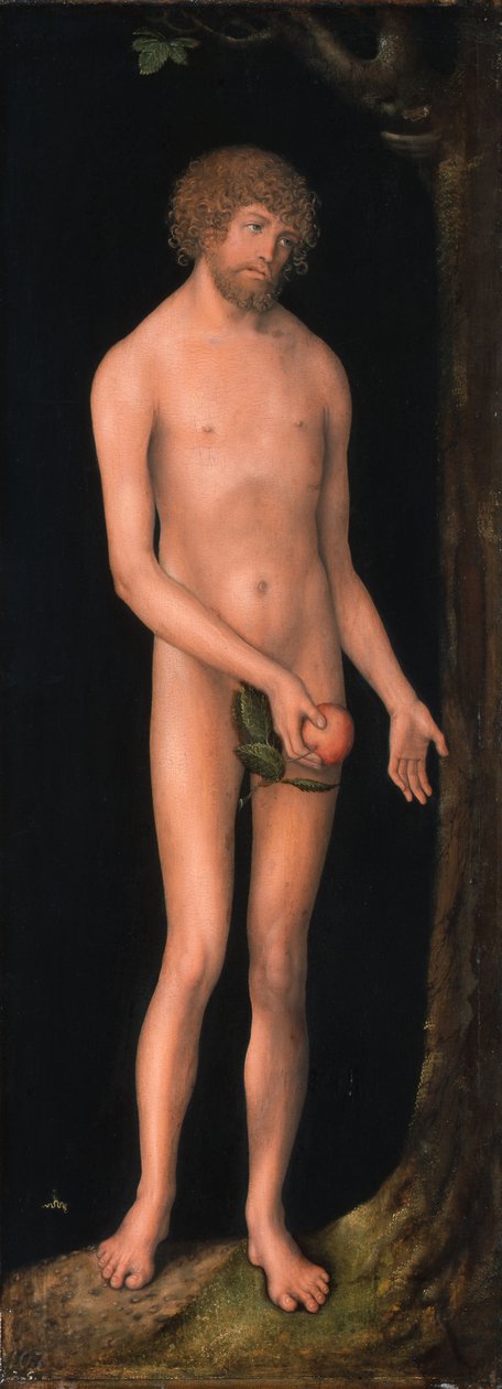 Alemán: Adam Adam de Lucas Cranach the Elder