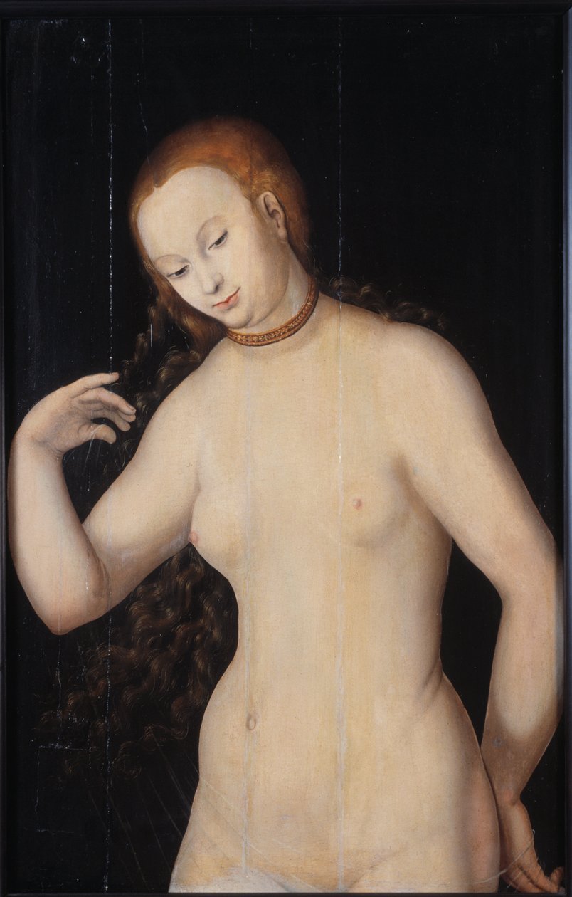 Venus, entre 1527 y 1531 de Lucas Cranach the Elder