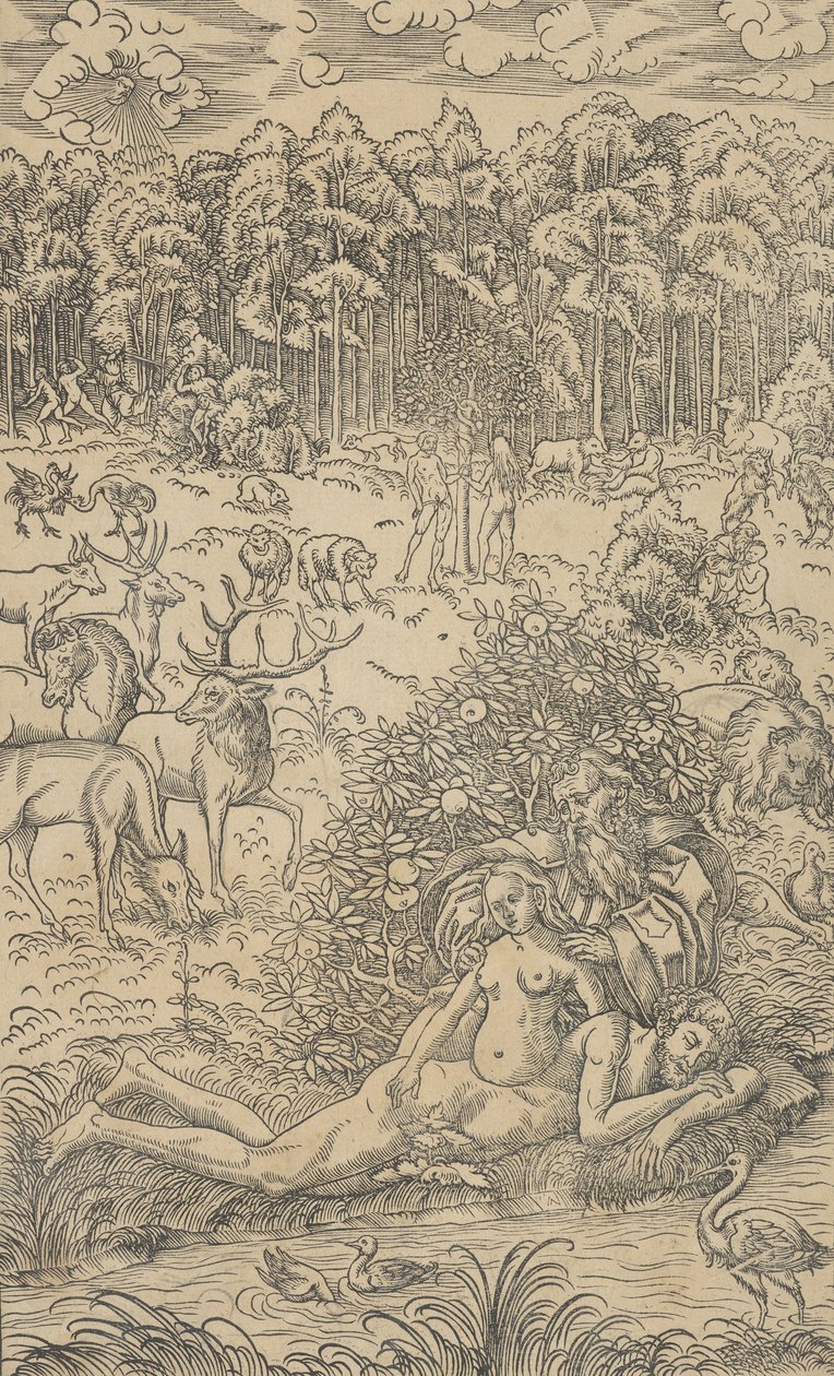 La Creación de Eva de Lucas Cranach the Younger  