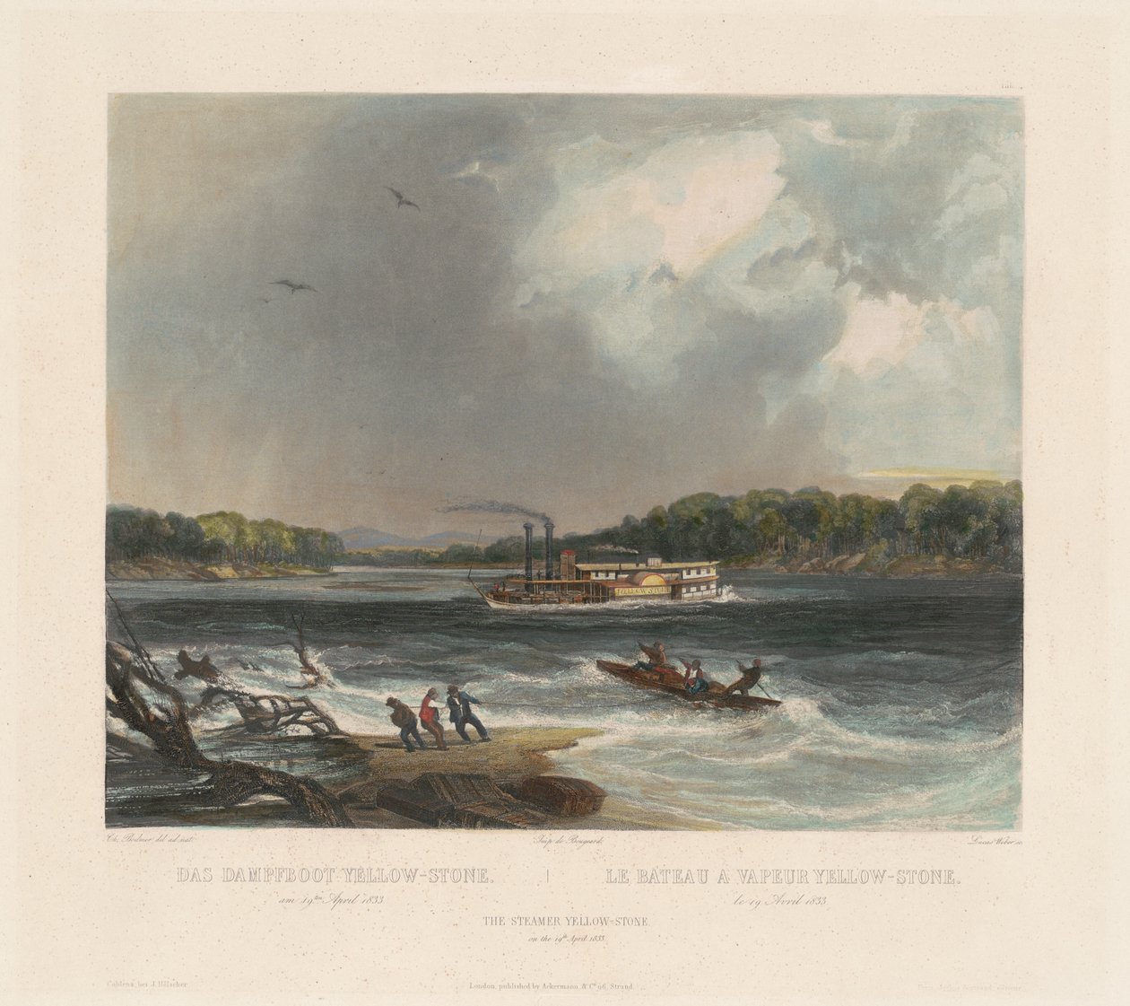 El Vapor Yellow-stone de Lucas Weber after Karl Bodmer