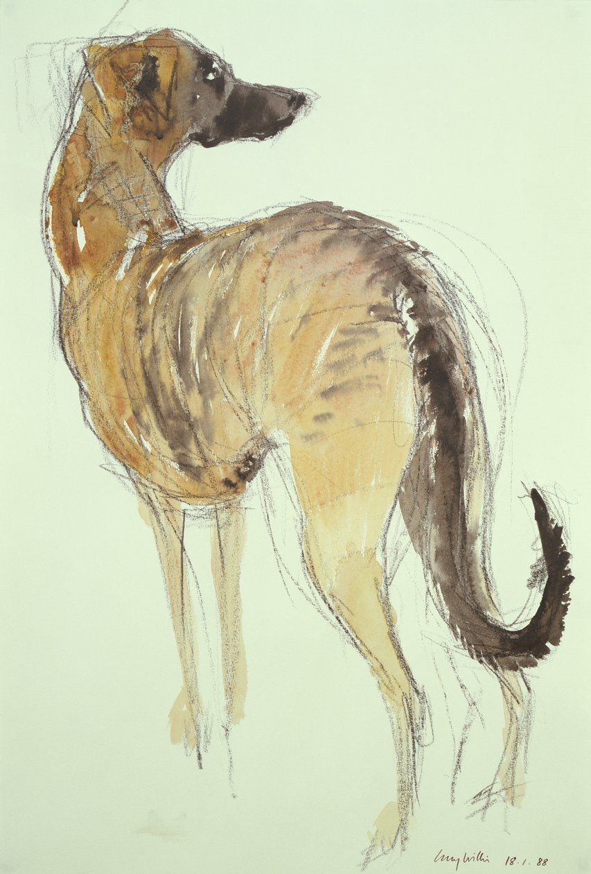 Lurcher de pie de Lucy Willis
