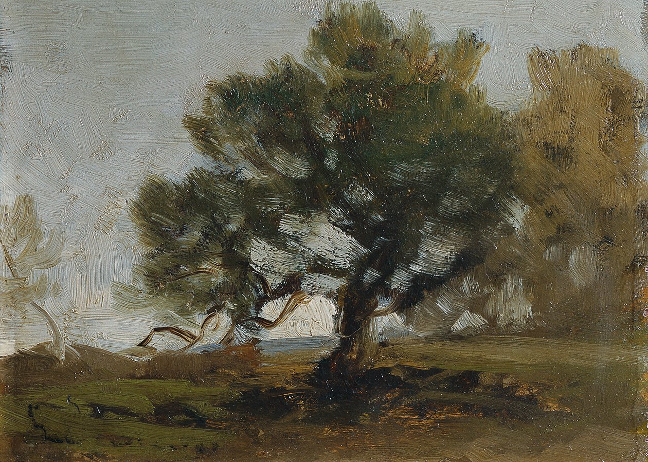 paisaje de Ludwig Willroider