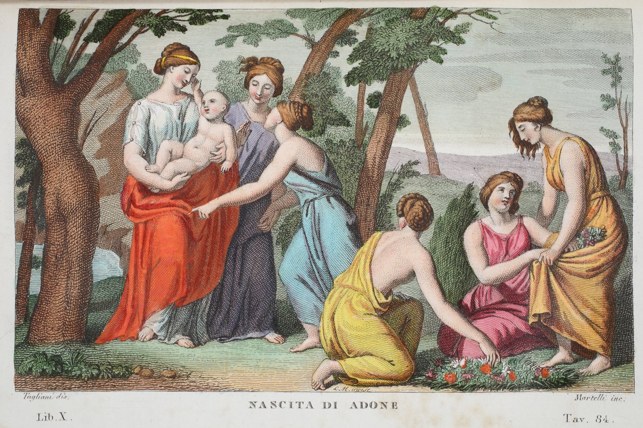 El nacimiento de Adonis o Nascita di Adone, Libro X, ilustración de las Metamorfosis de Ovidio, Florencia, 1832 (grabado coloreado a mano) de Luigi Ademollo