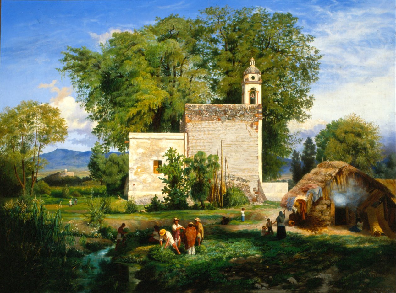 Paisaje de San Cristóbal Romita de Luis Coto