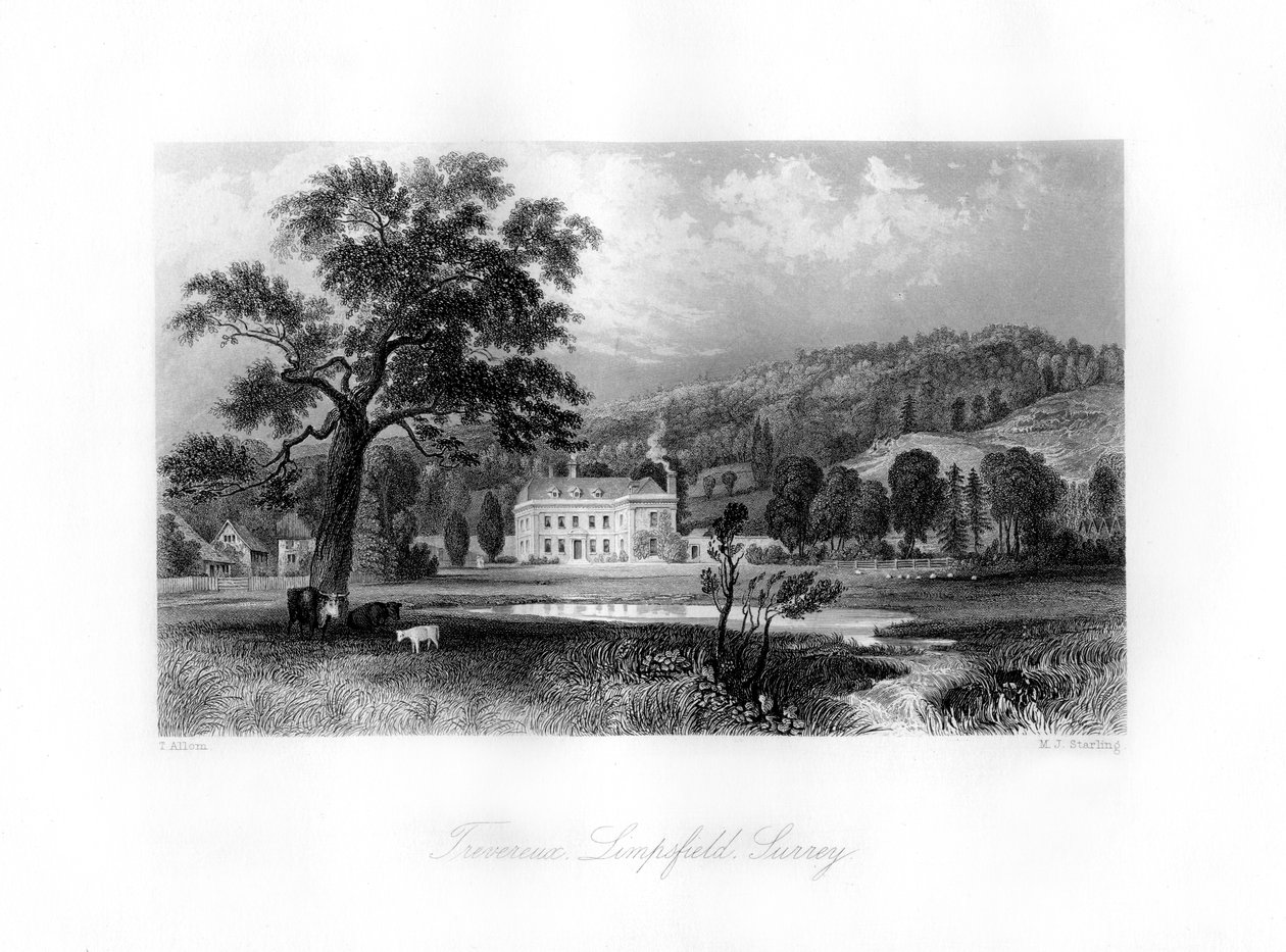 Trevereux, Limpsfield, Surrey, siglo XIX de M. J. Starling