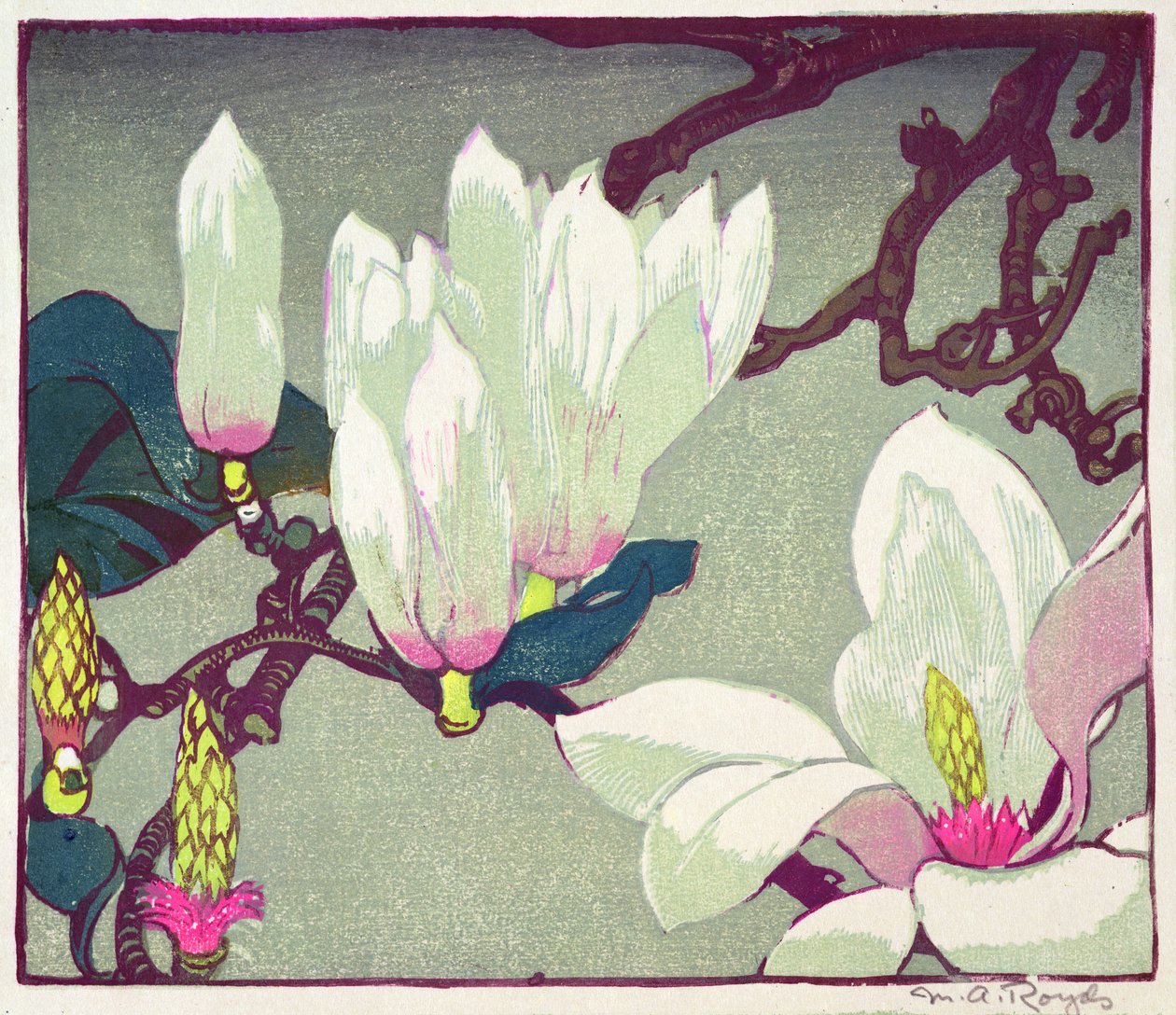 Magnolia, c.1925 de Mabel Royds