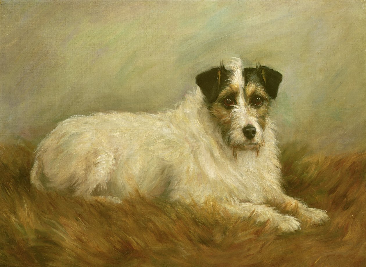 Terrier de Mabel Hastings