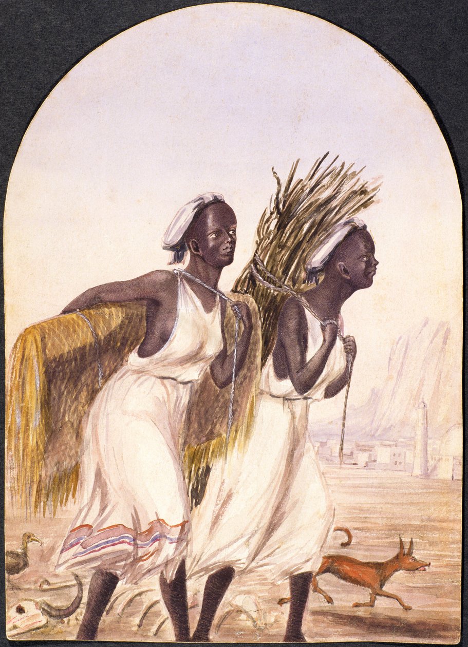 Mujeres somalíes en Adén, 1858 de Maitland Warren Bouverie Pasley