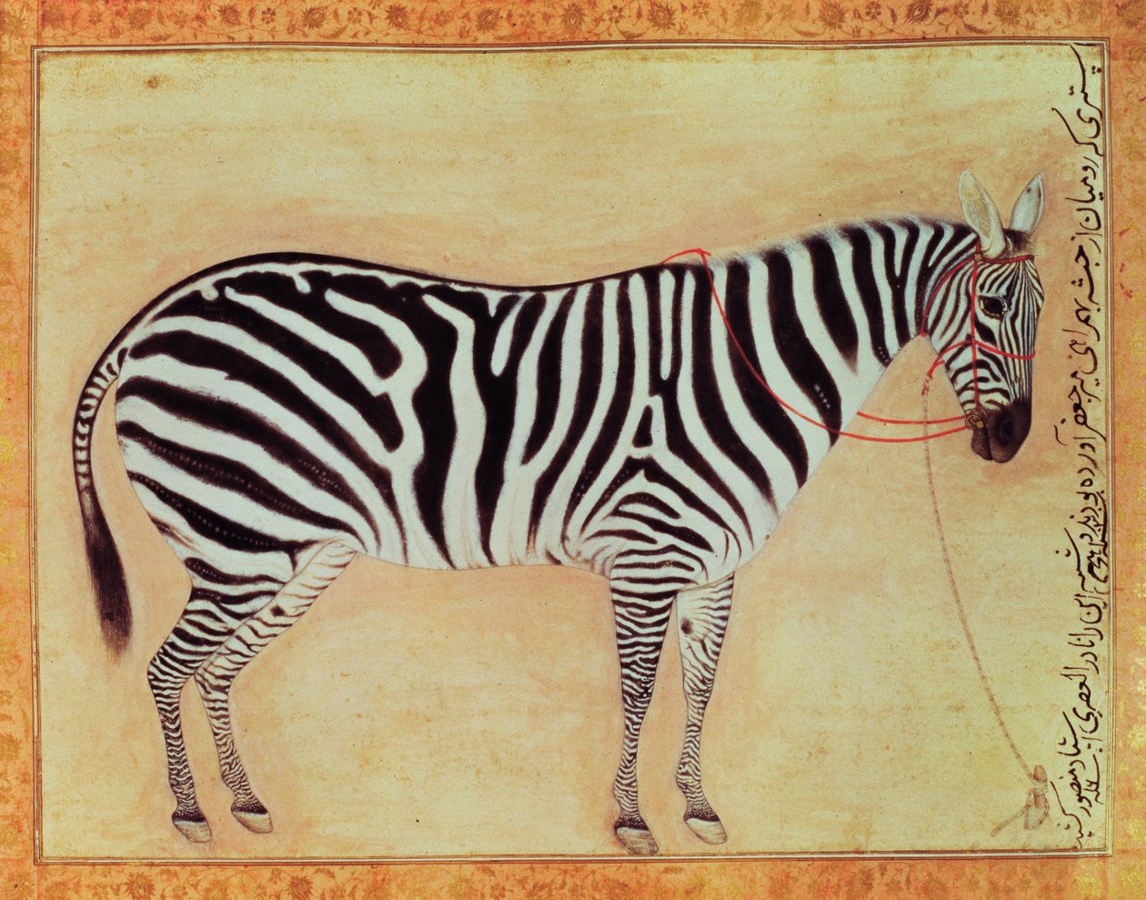 Cebra, del Álbum Minto, Mughal, 1621 de Mansur