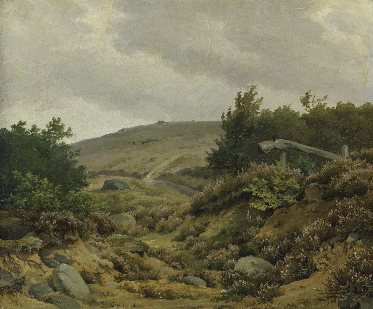 En el páramo de Marcus Johann Haeselich