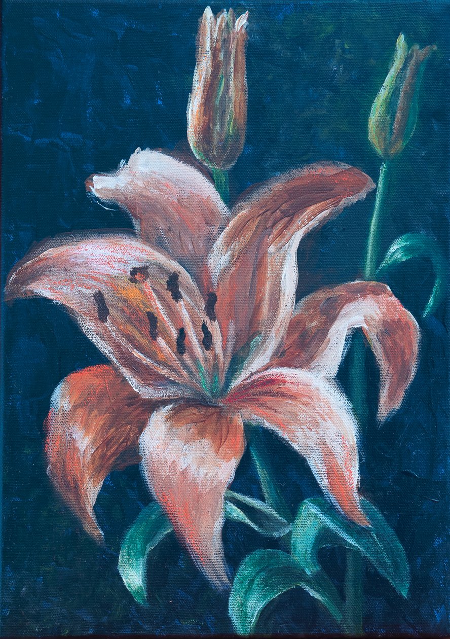Lirio naranja, 2022 (pastel) de Margo Starkey