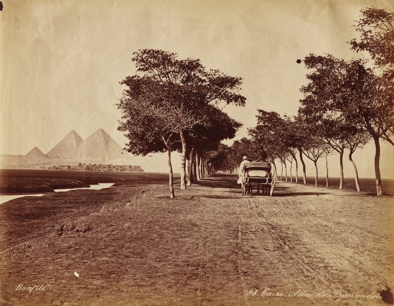 El Cairo. Callejón de las Pirámides de Maria Sibylla Merian