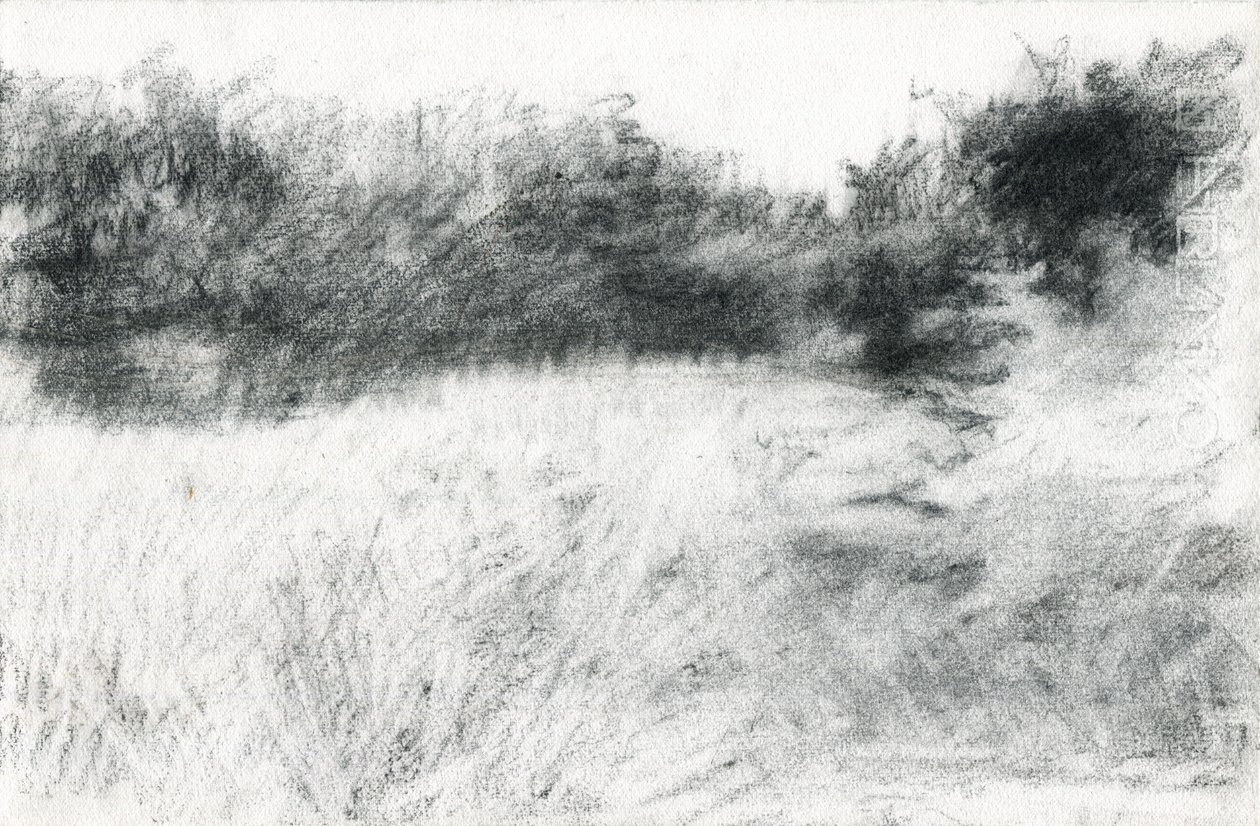 Paisaje, 2021 (carboncillo sobre papel) de Marina Falco