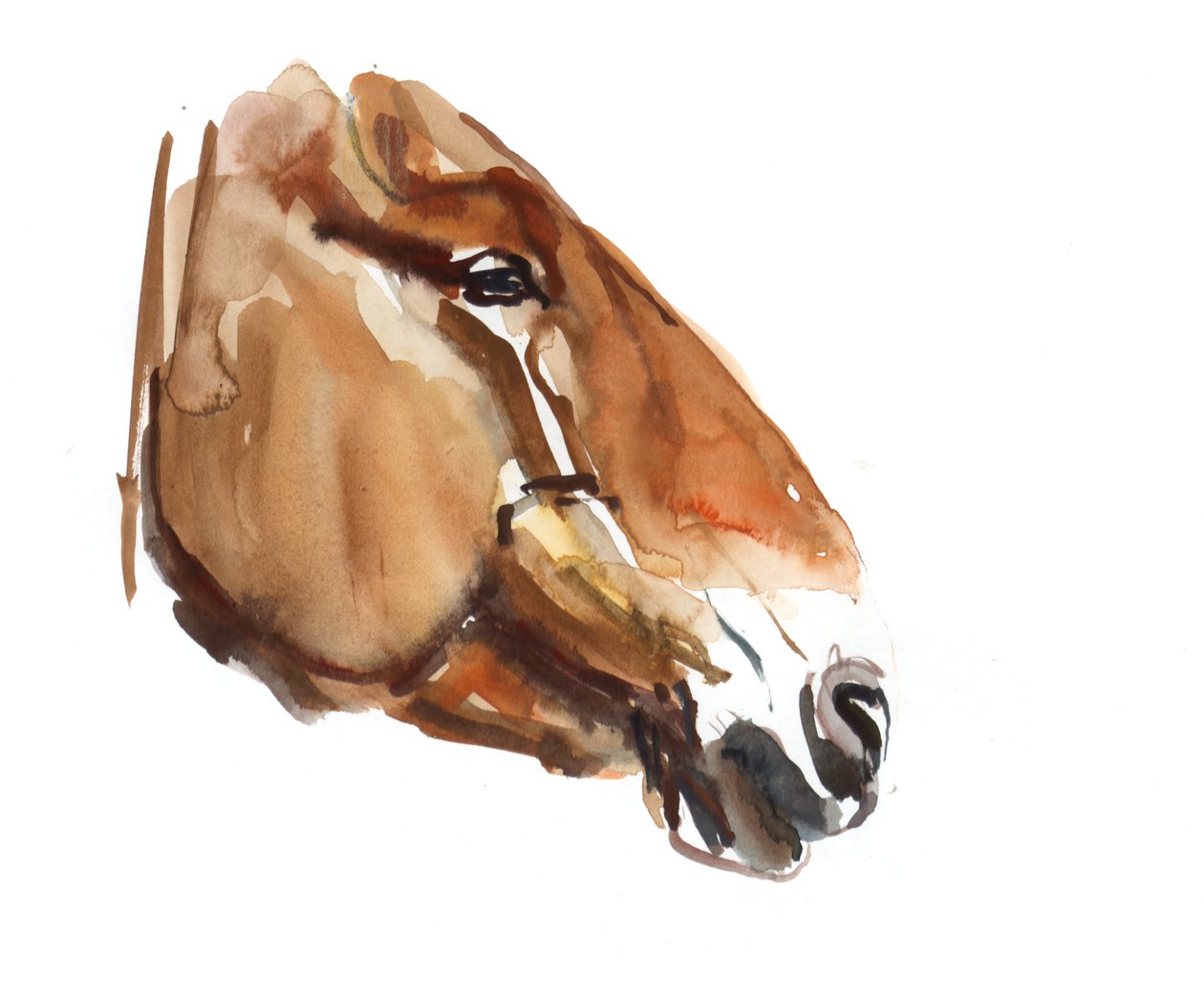 Cabeza antigua (Przewalski) 2012 de Mark Adlington