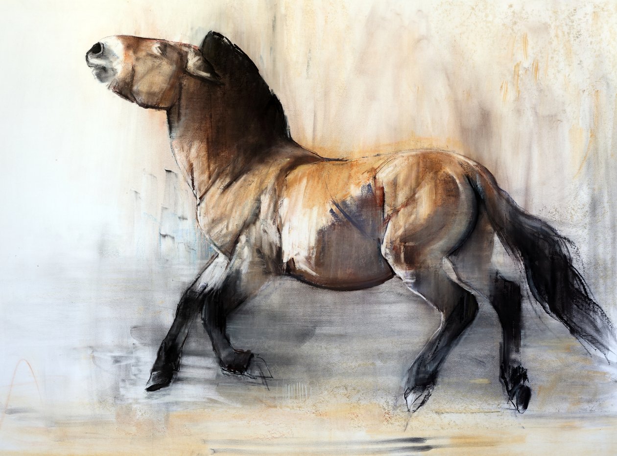 Caballo antiguo (Przewalski en invierno) de Mark Adlington