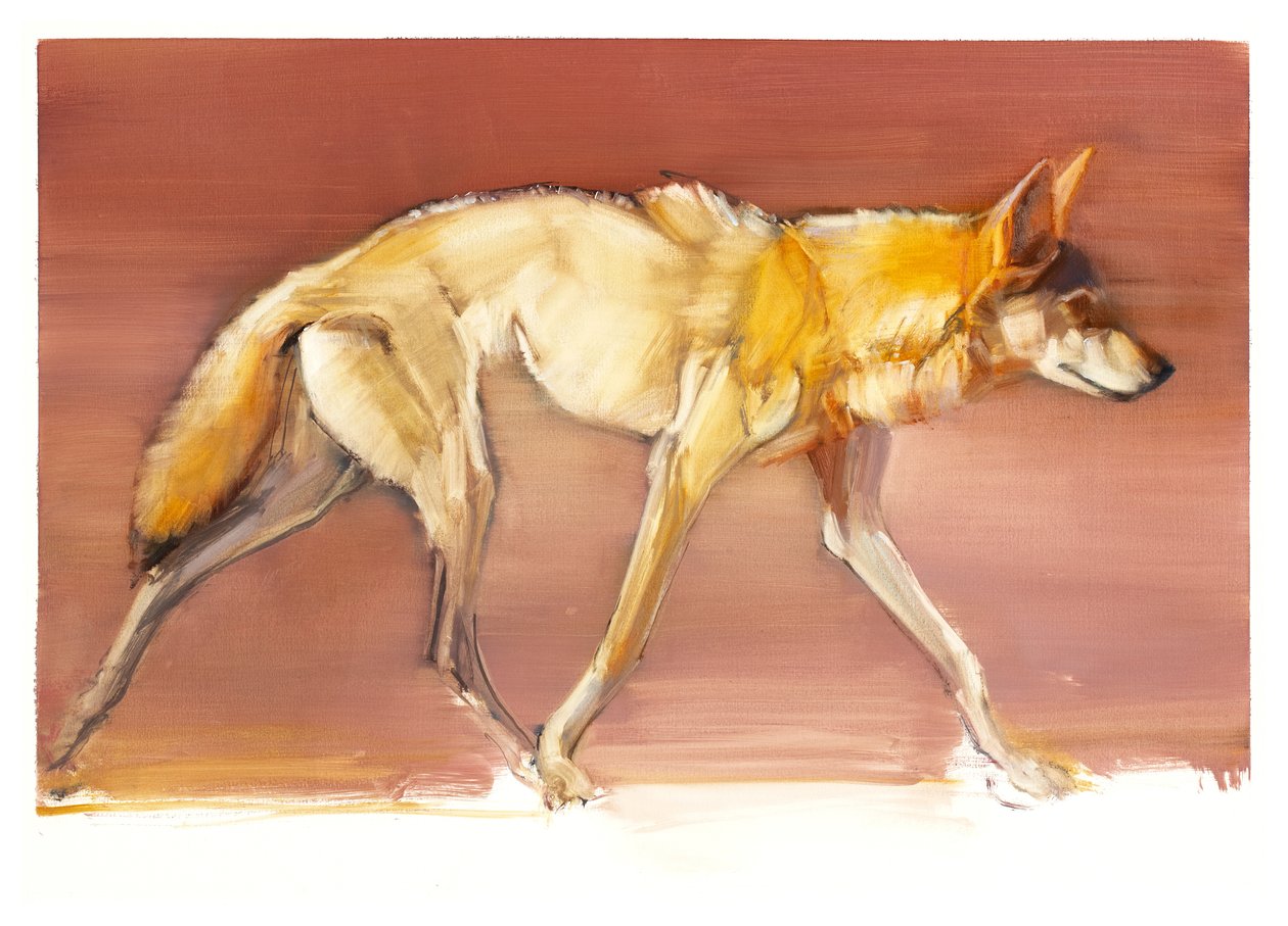 Lobo árabe, 2010 de Mark Adlington