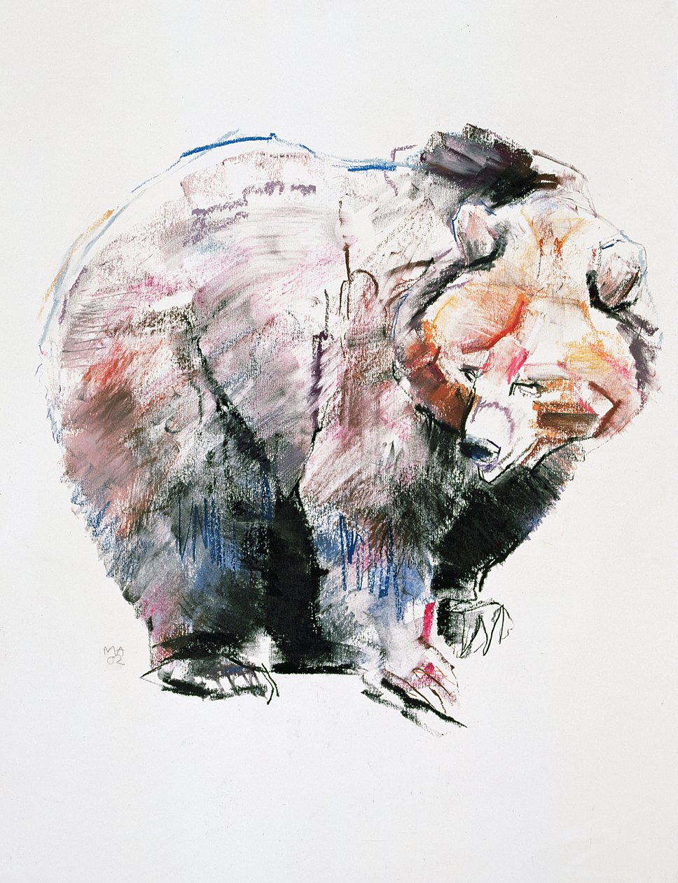 Oso de Mark Adlington