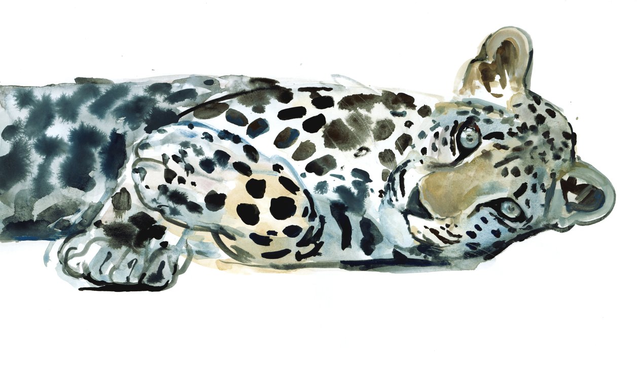 Siesta rota, 2015 de Mark Adlington