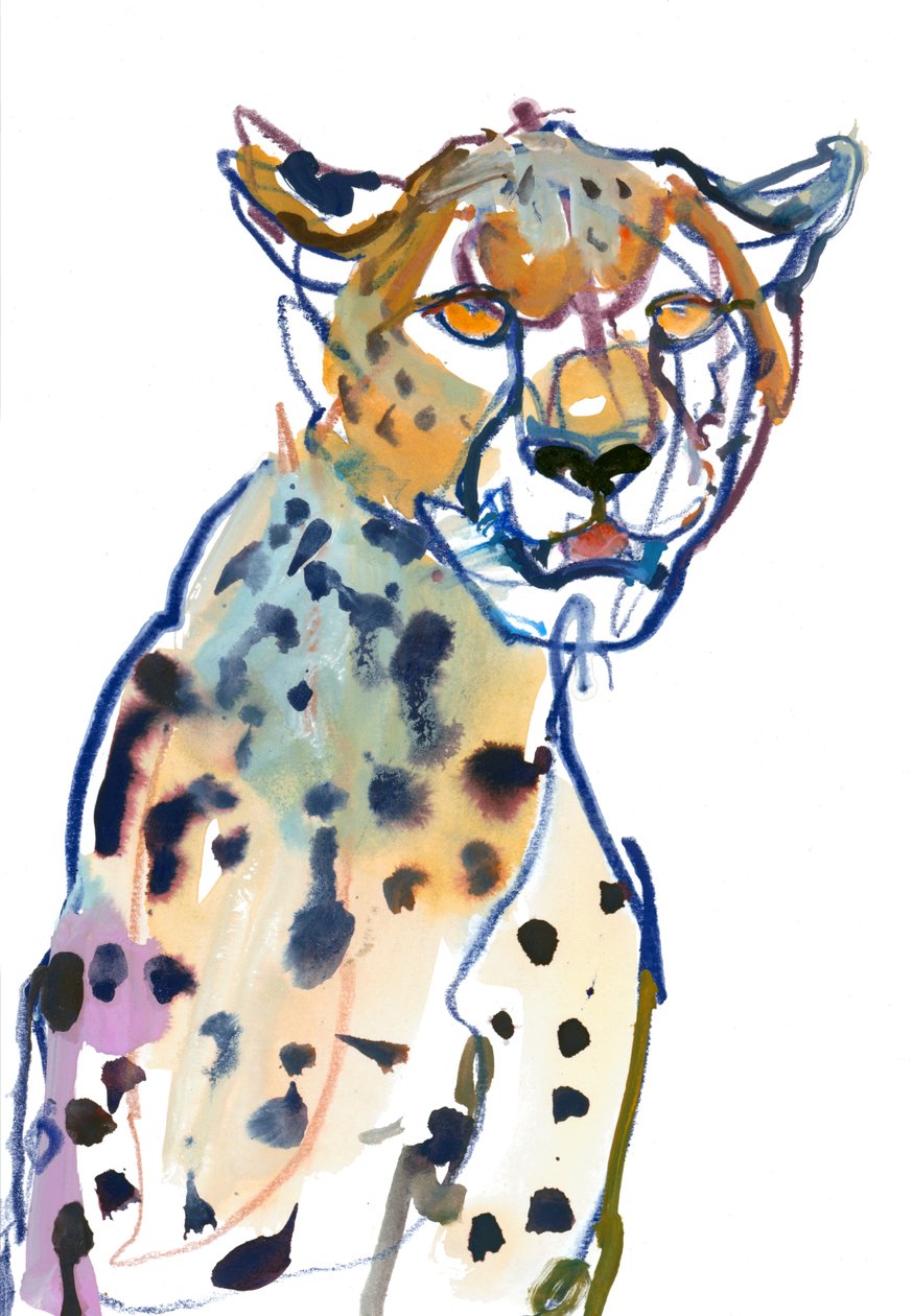 Chyulu Cheetah, 2022 de Mark Adlington