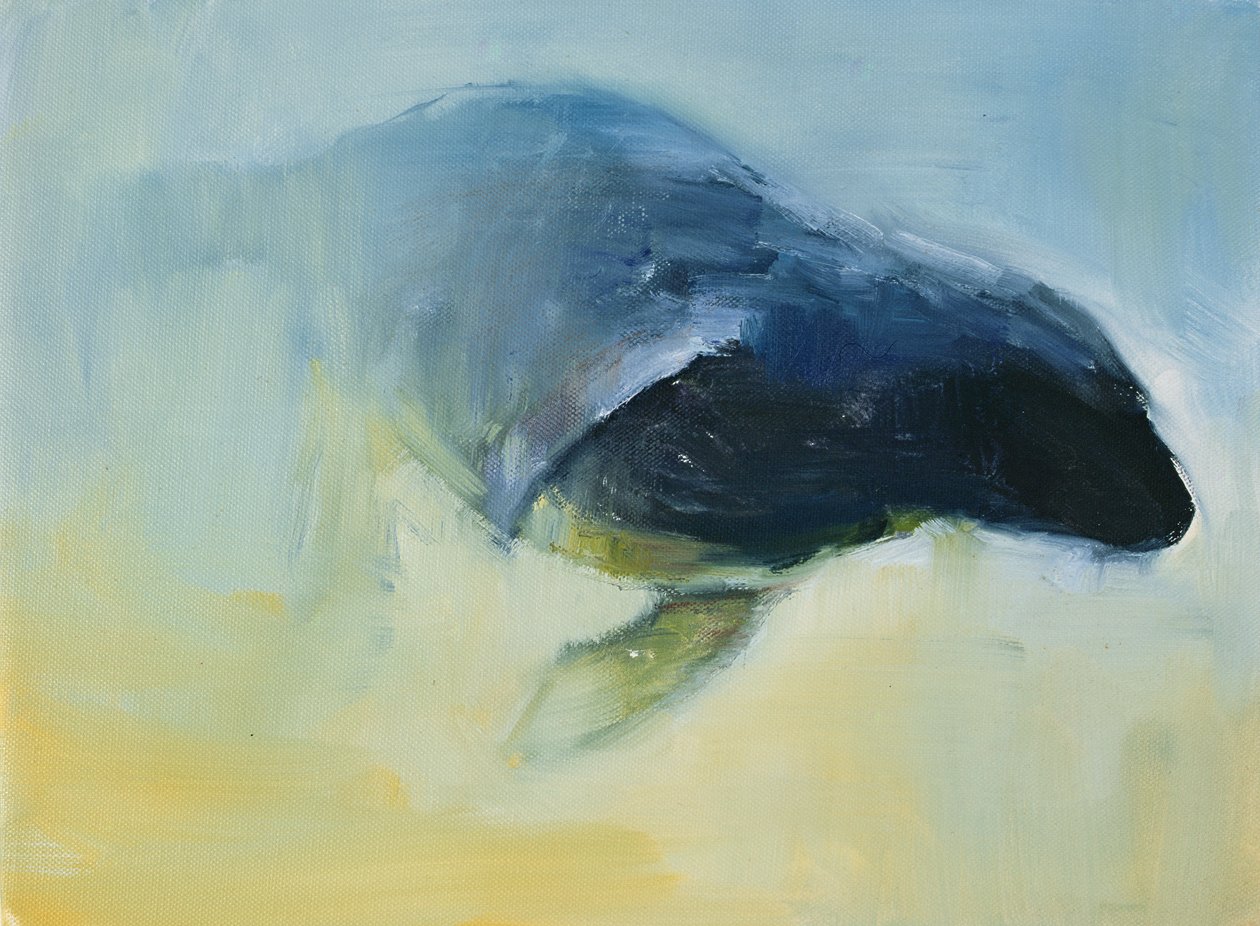 Emergiendo, 2003 de Mark Adlington