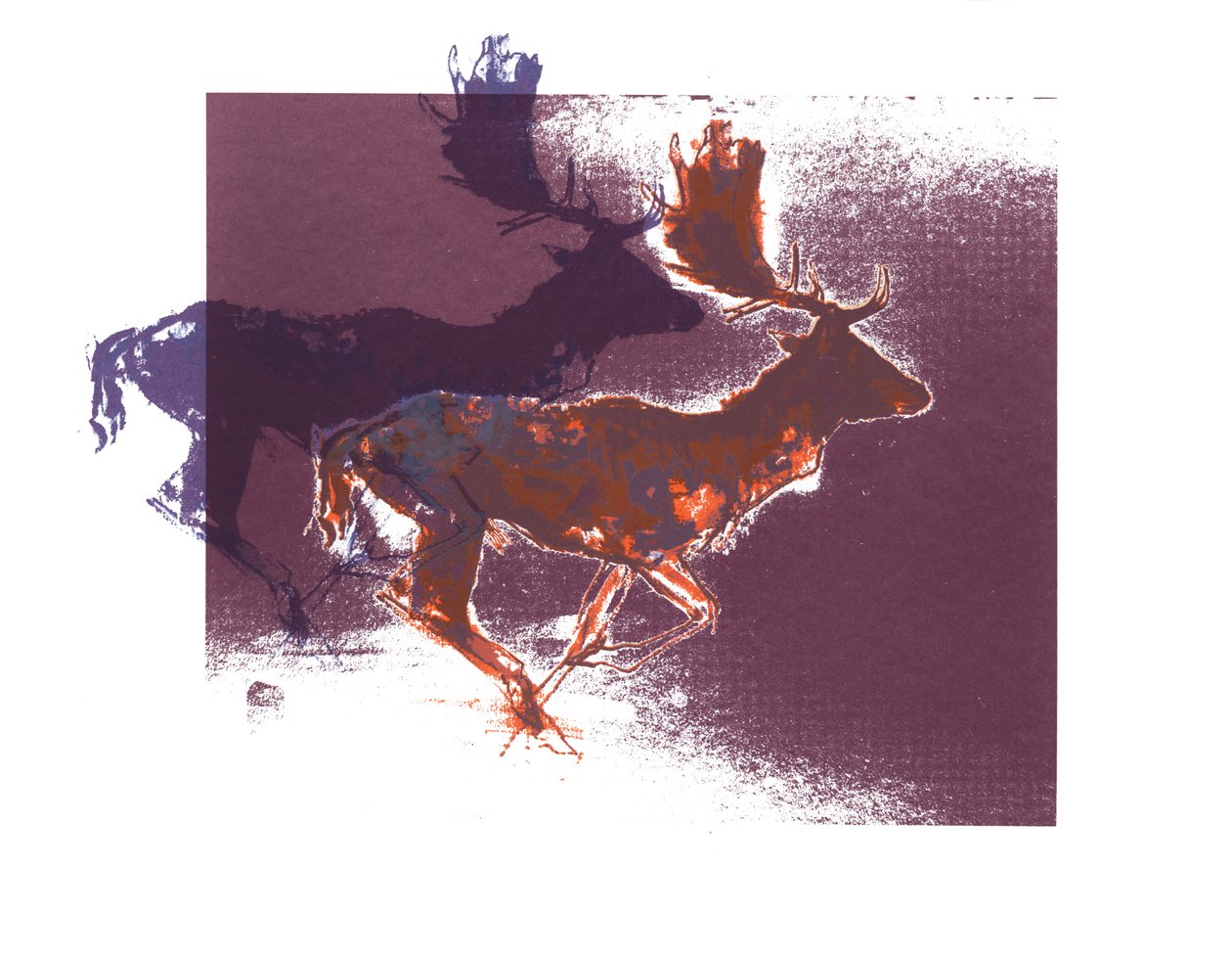 Ciervos Fallow (orangelilac), 2015, (serigrafía) de Mark Adlington
