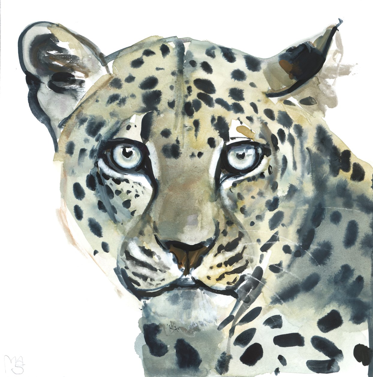Leopardo, 2015 de Mark Adlington